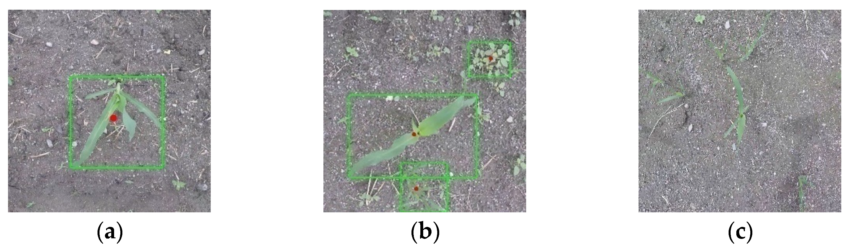 Remotesensing 12 02229 g009 Remotesensing 12 02229 g009