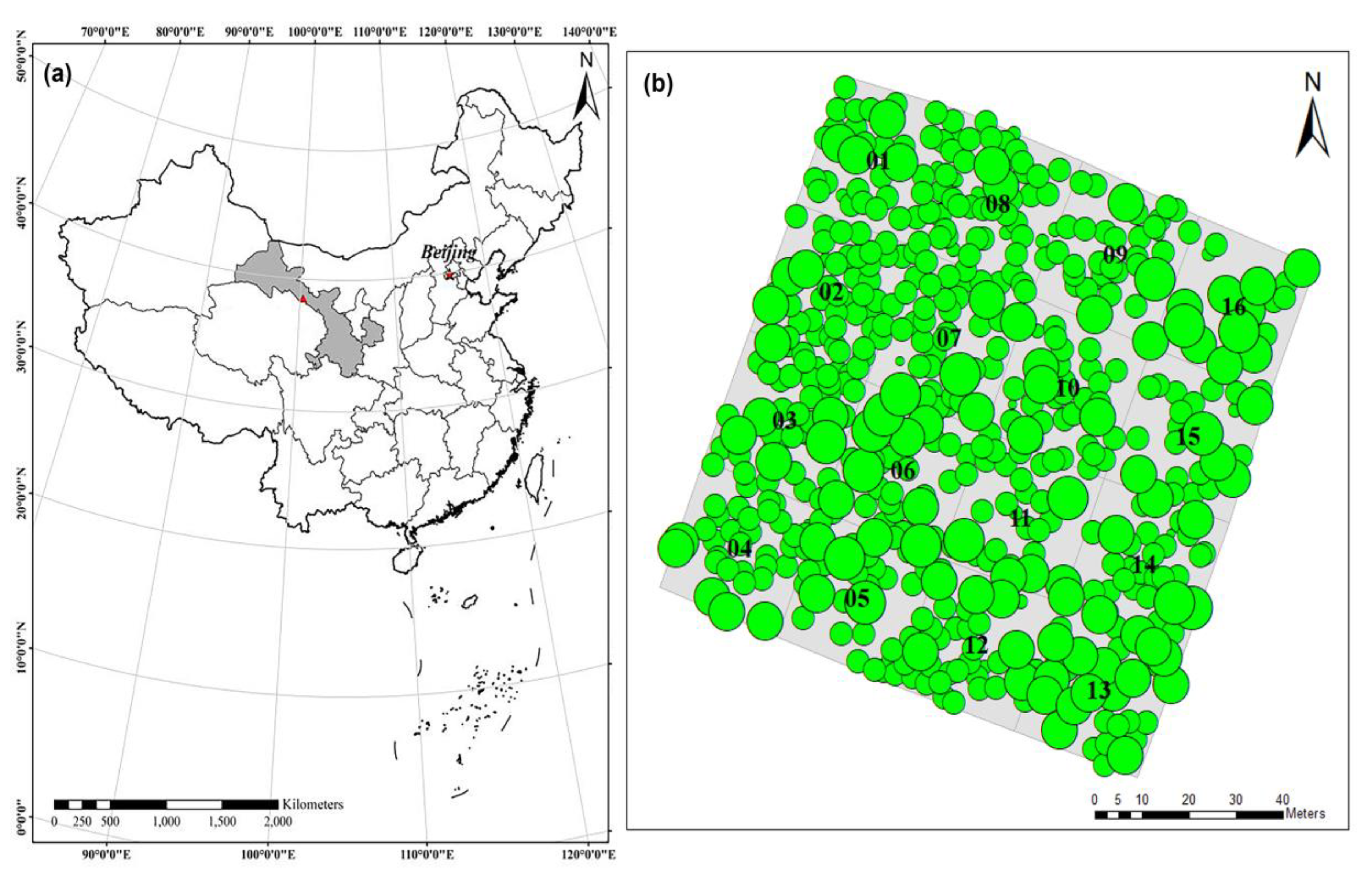 Remotesensing 12 02238 g001 Remotesensing 12 02238 g001