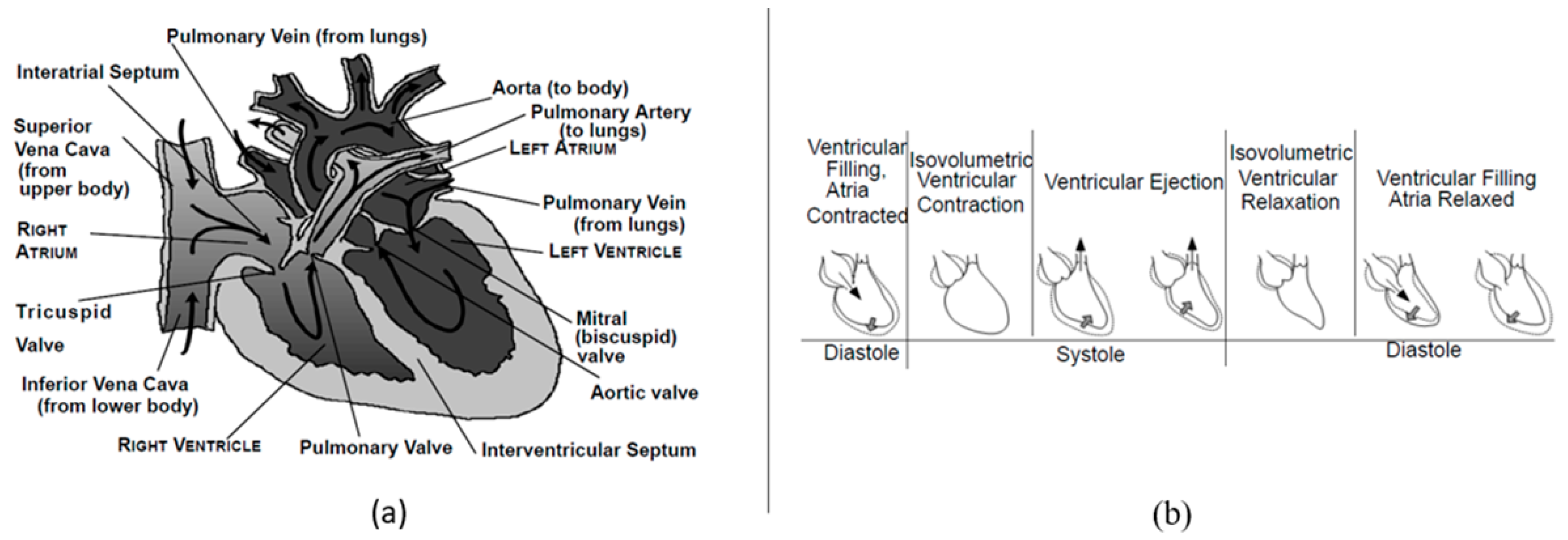 Remotesensing 12 02279 g002 Remotesensing 12 02279 g002