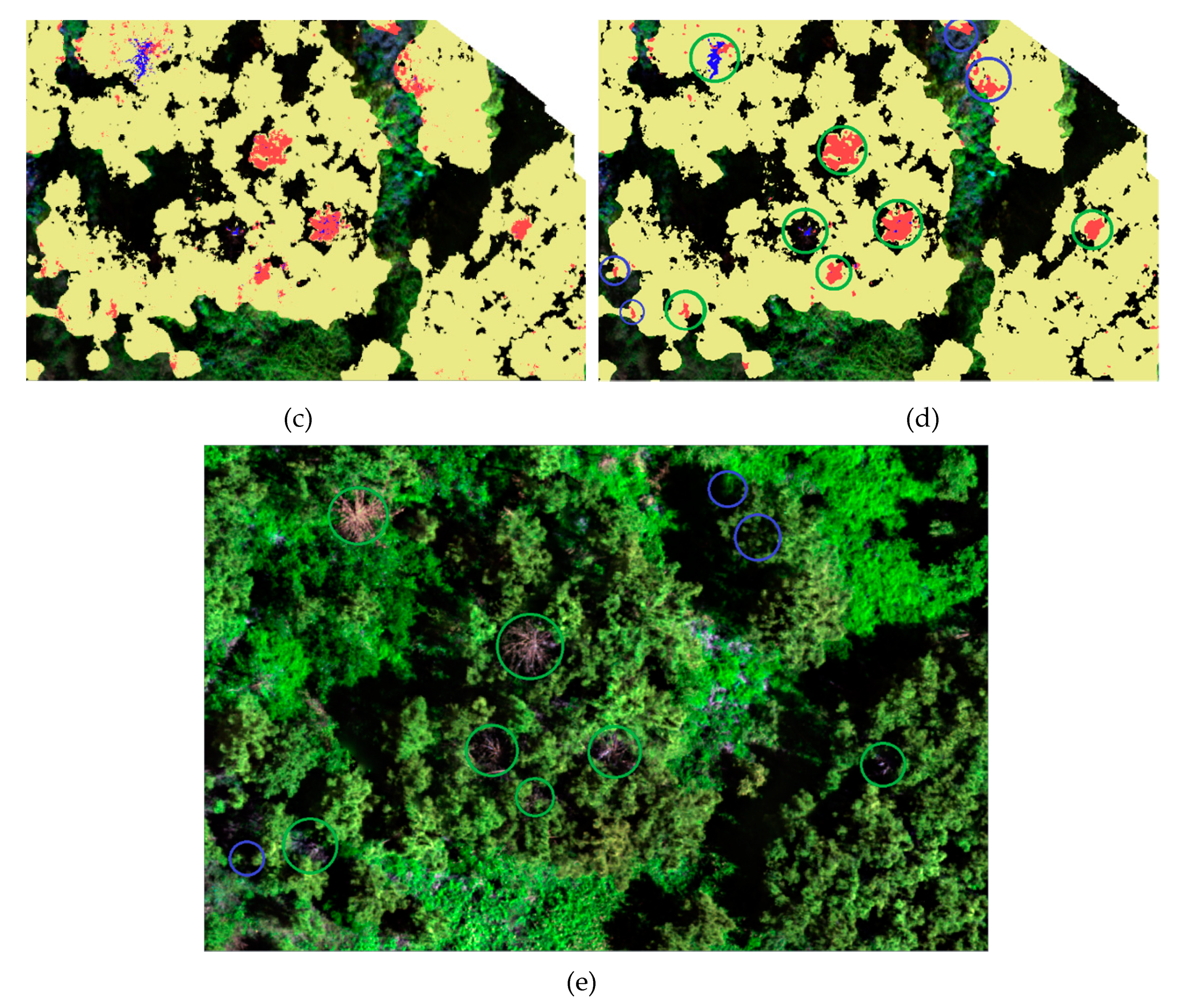 Remotesensing 12 02280 g012b