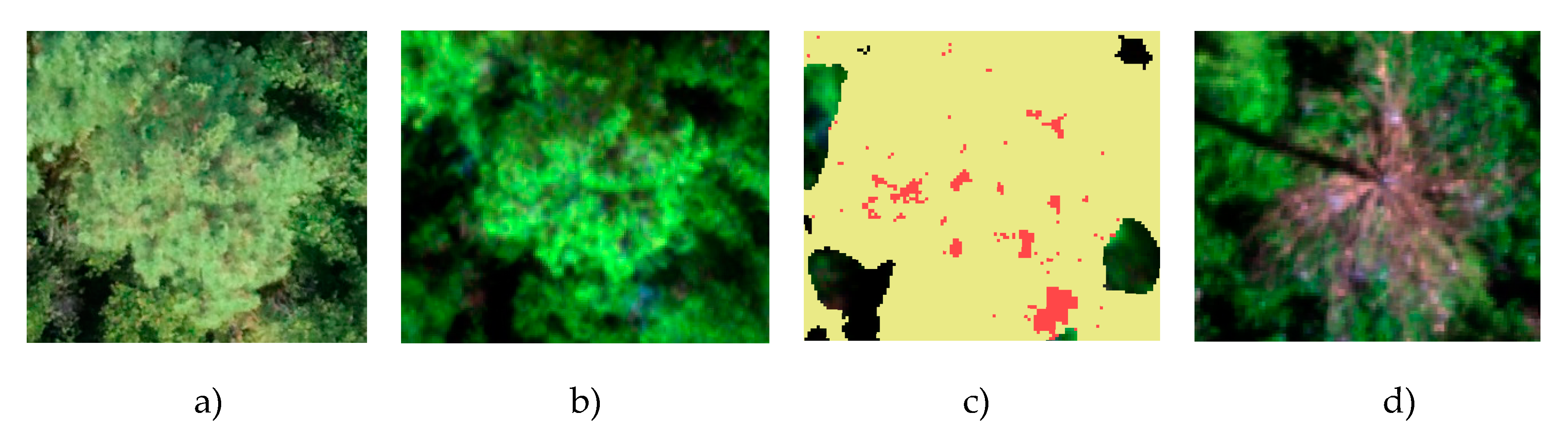 Remotesensing 12 02280 g013