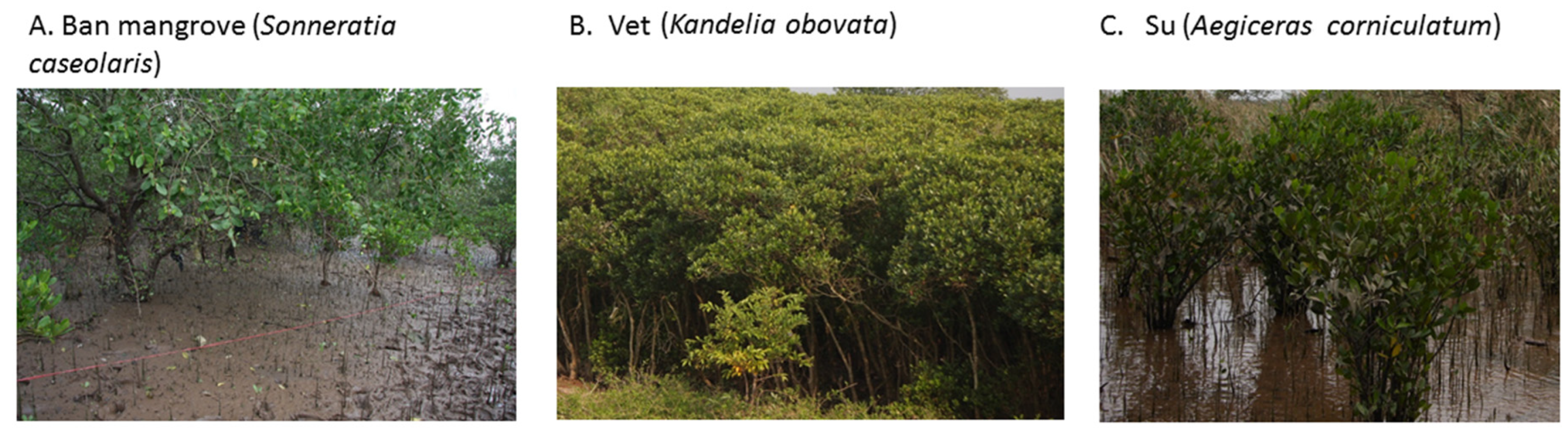 Remotesensing 12 02289 g010 Remotesensing 12 02289 g010