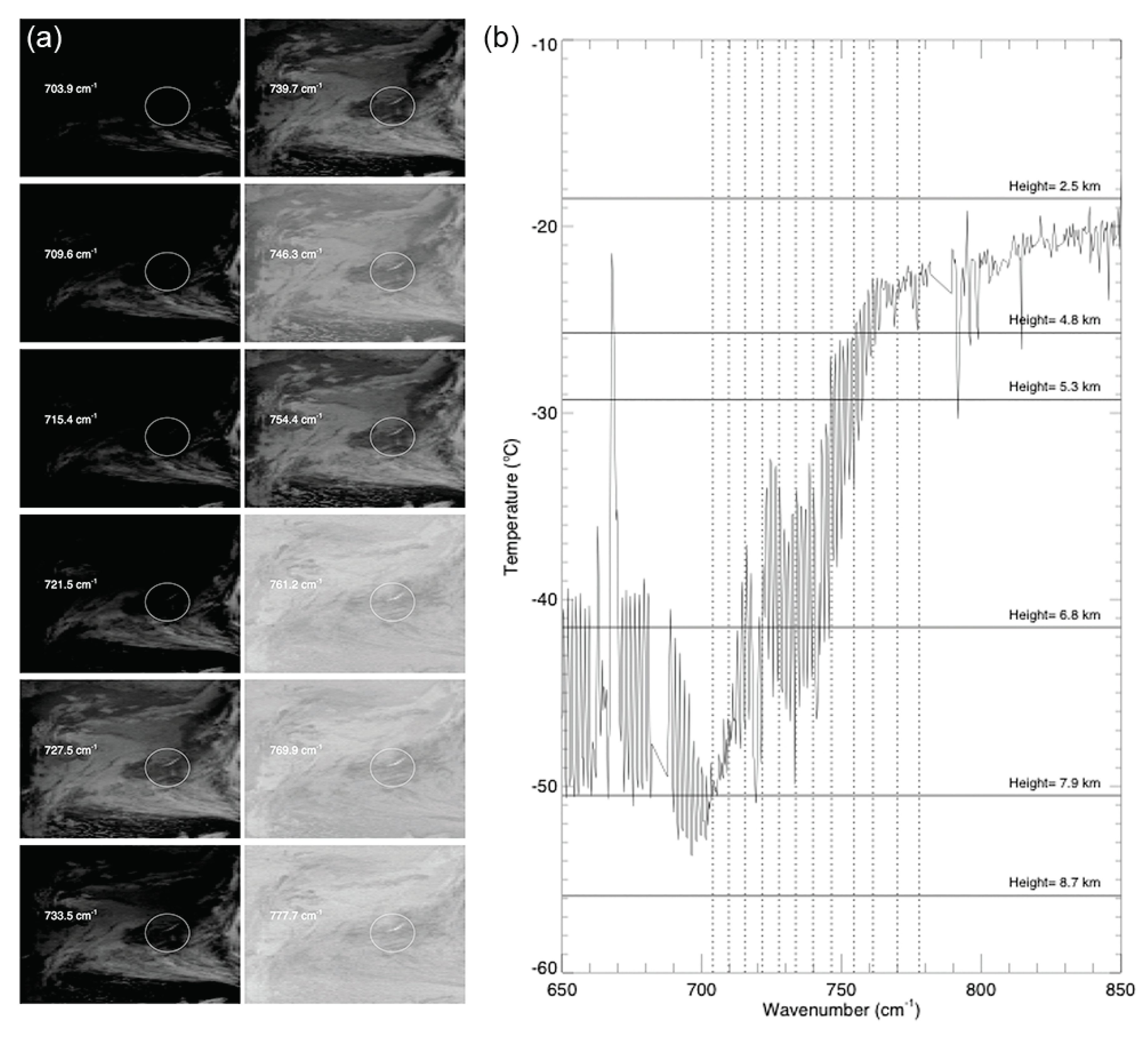Remotesensing 12 02309 g021