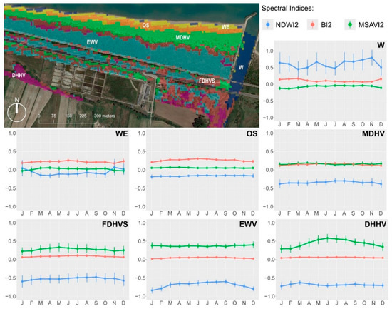 Mapping Coastal Dune Landscape through Spectral Rao’s Q Temporal Diversity