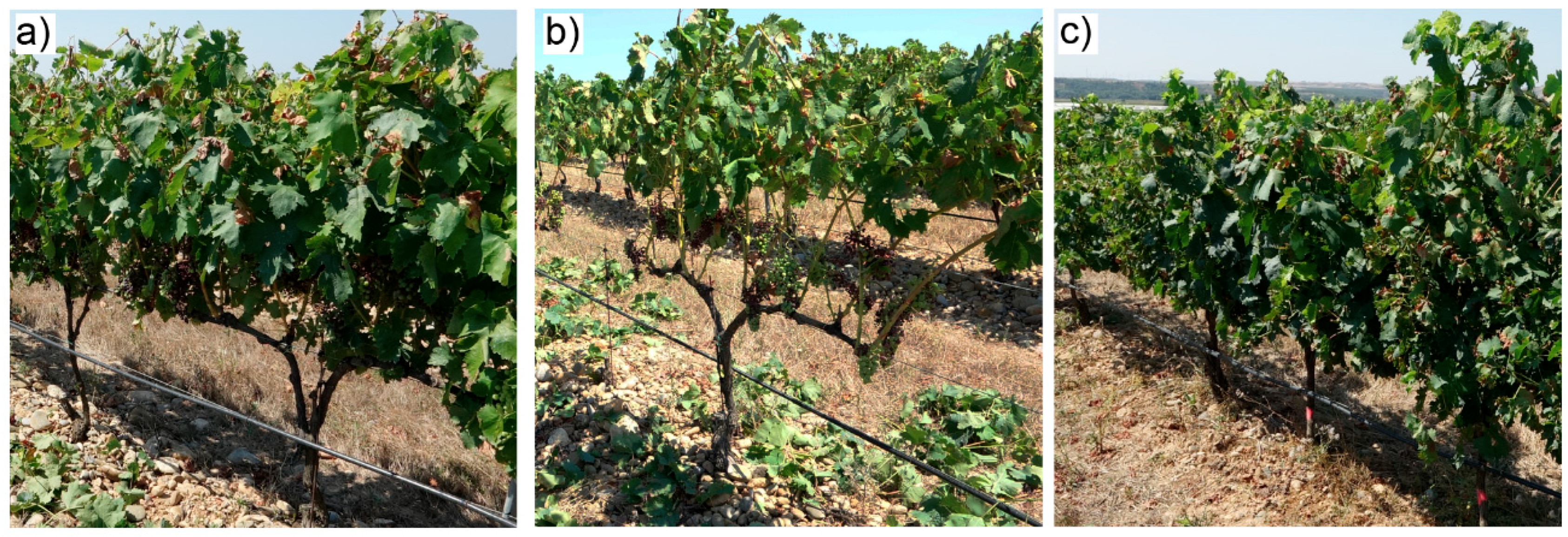 Remotesensing 12 02331 g002 Remotesensing 12 02331 g002