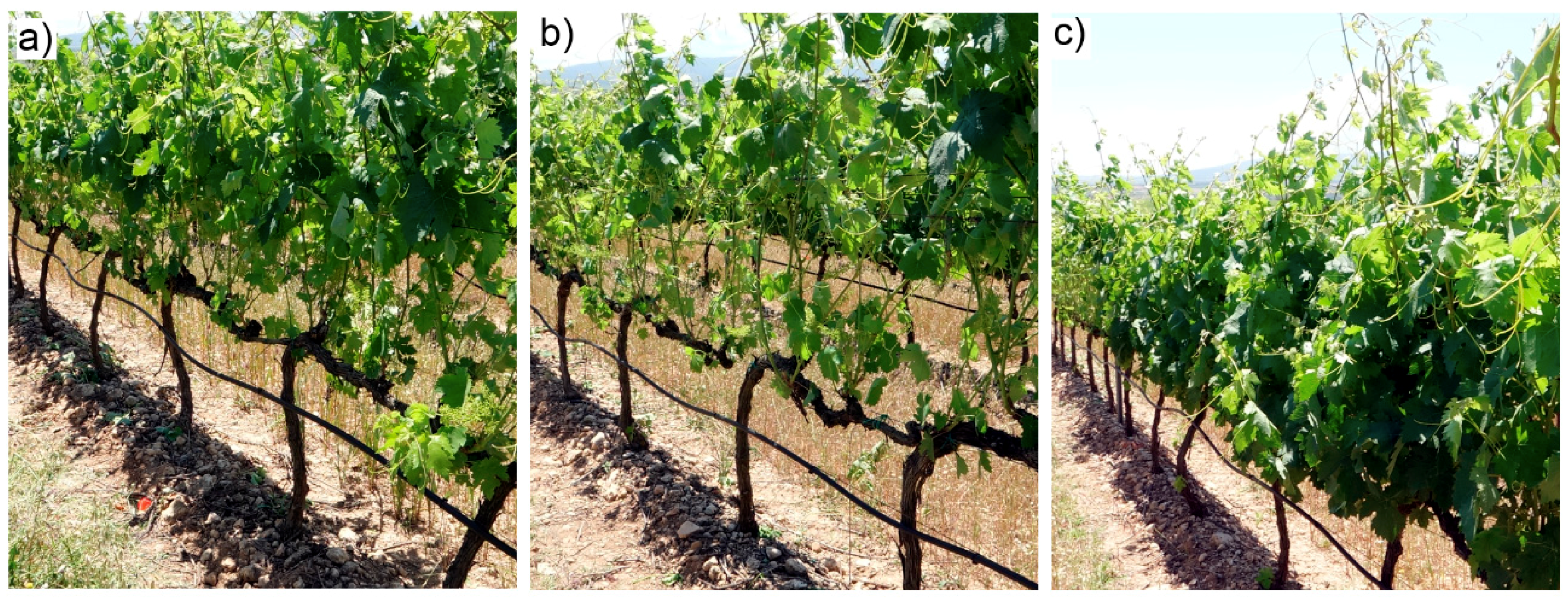 Remotesensing 12 02331 g003 Remotesensing 12 02331 g003