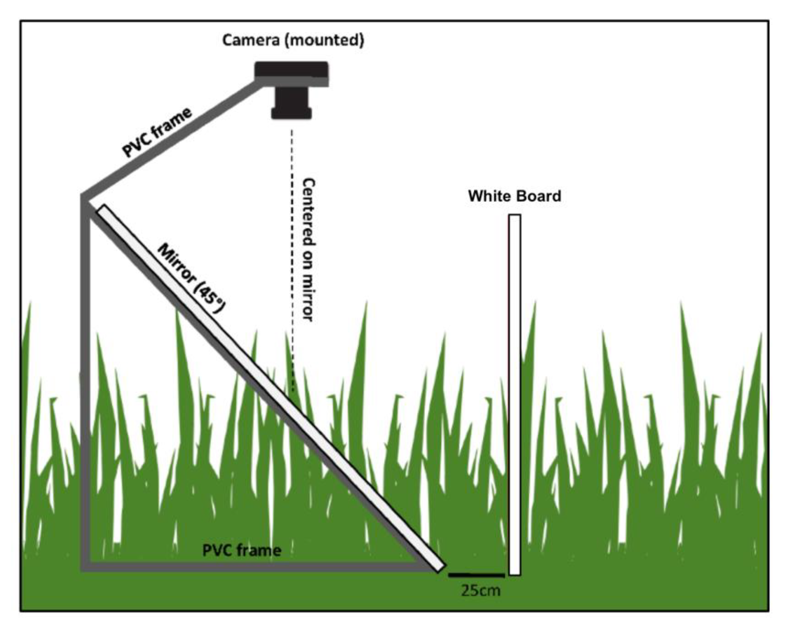 Remotesensing 12 02333 g002 Remotesensing 12 02333 g002