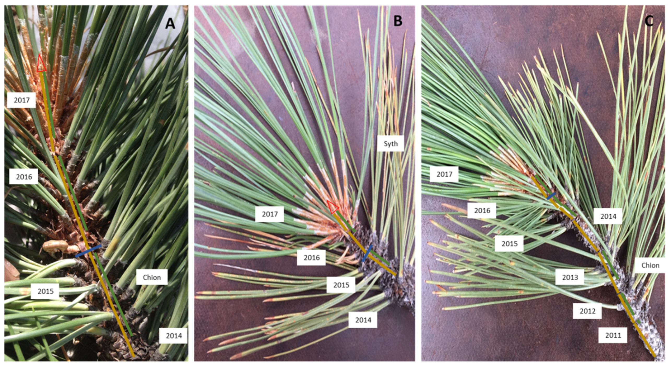 Remotesensing 12 02338 g0a1 Remotesensing 12 02338 g0a1