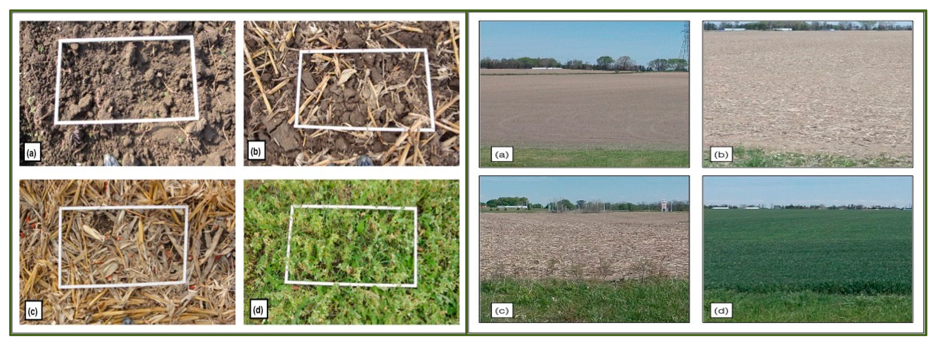 Remotesensing 12 02342 g004