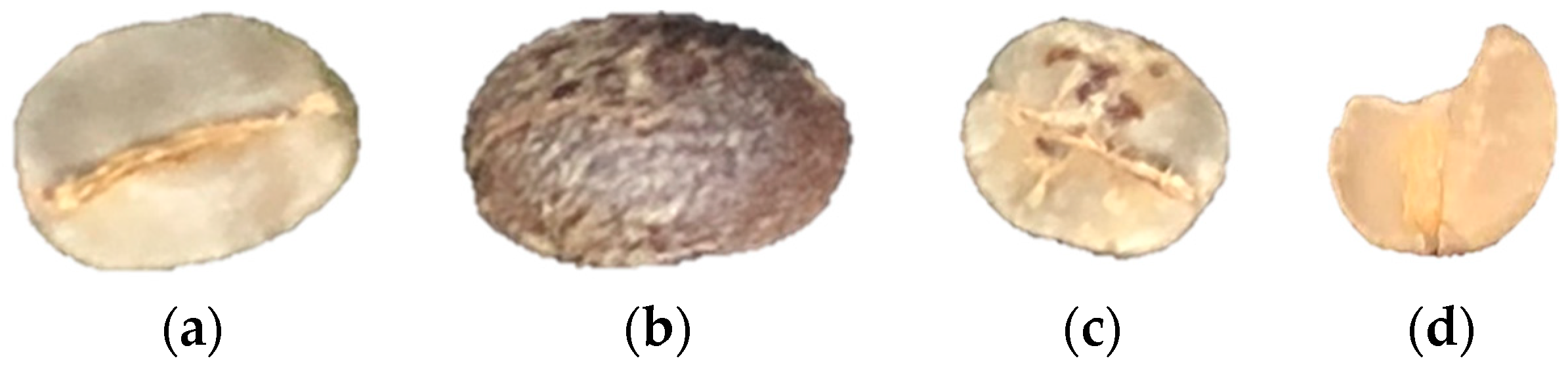 Remotesensing 12 02348 g004