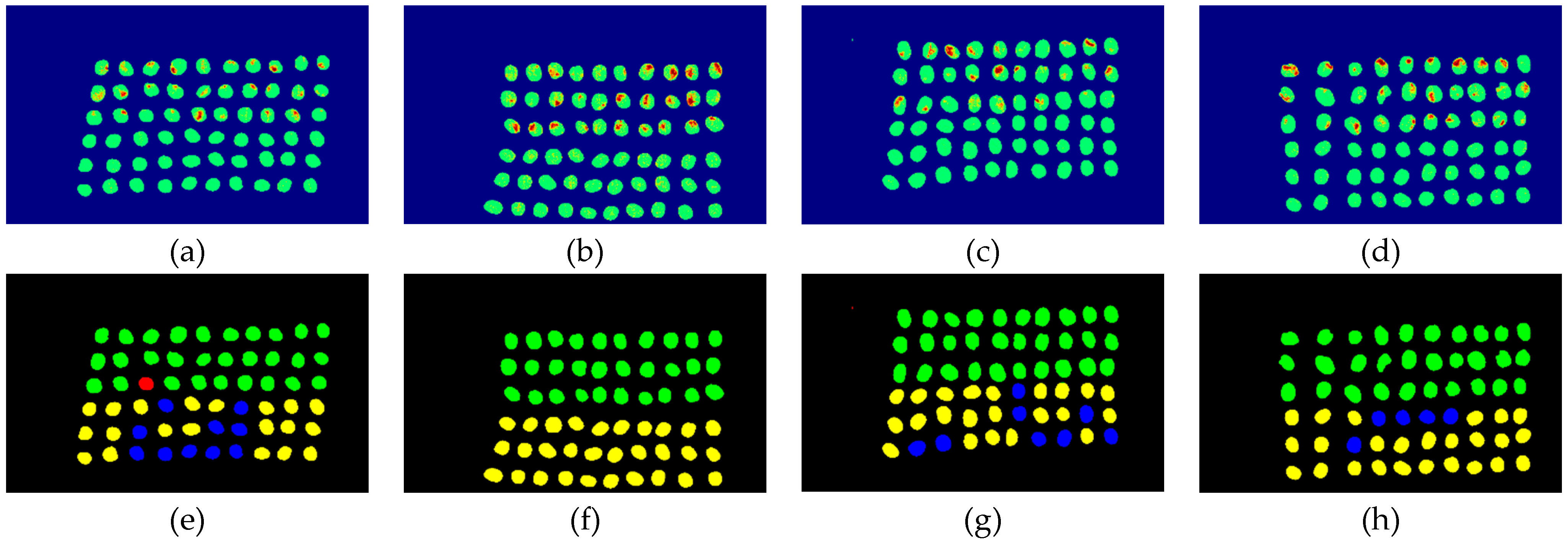 Remotesensing 12 02348 g028