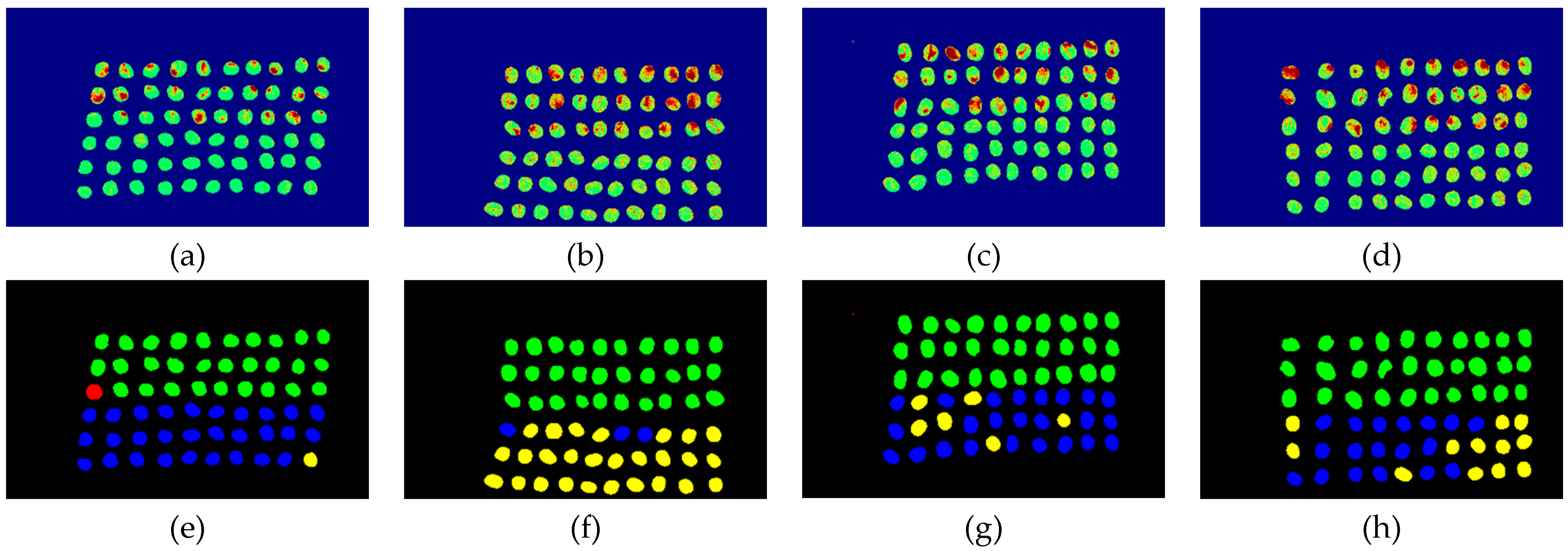 Remotesensing 12 02348 g029