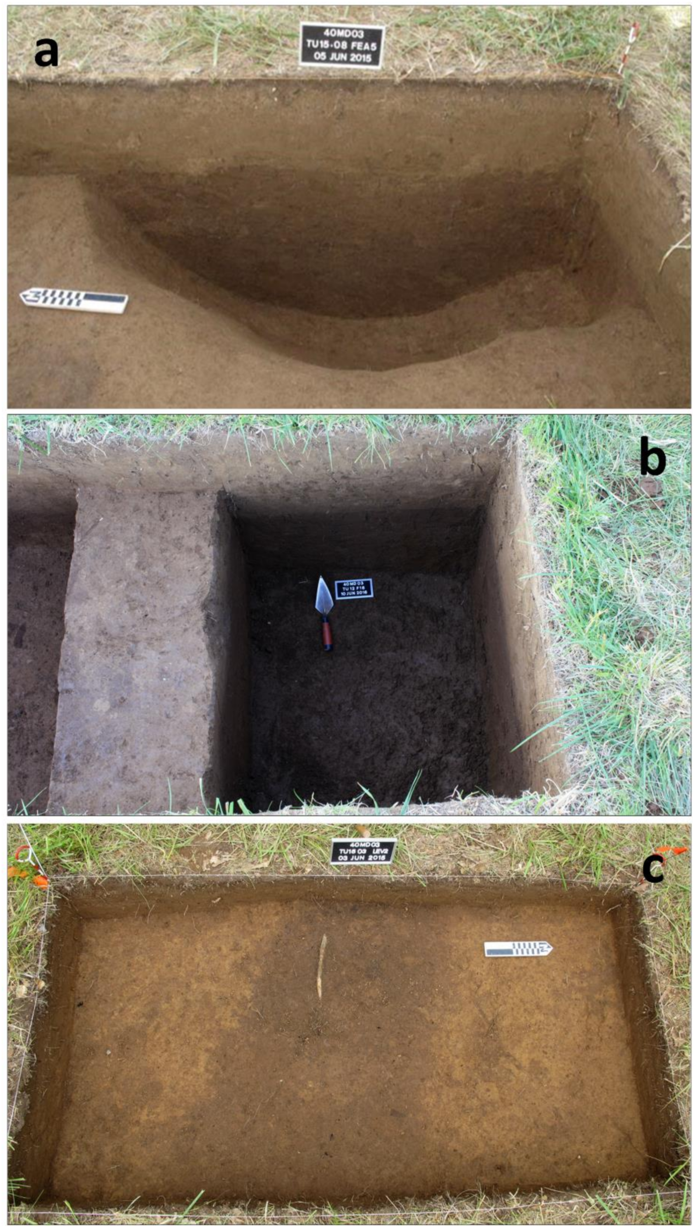 Remotesensing 12 02364 g011