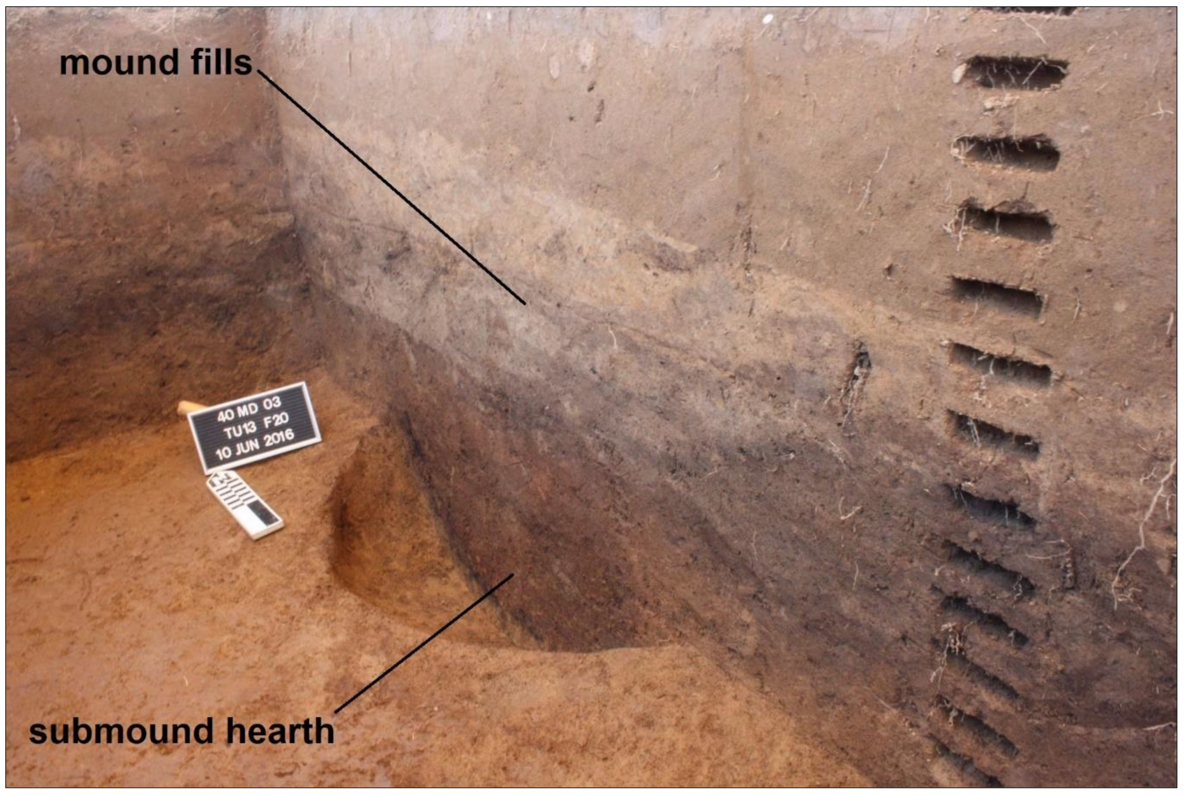 Remotesensing 12 02364 g013