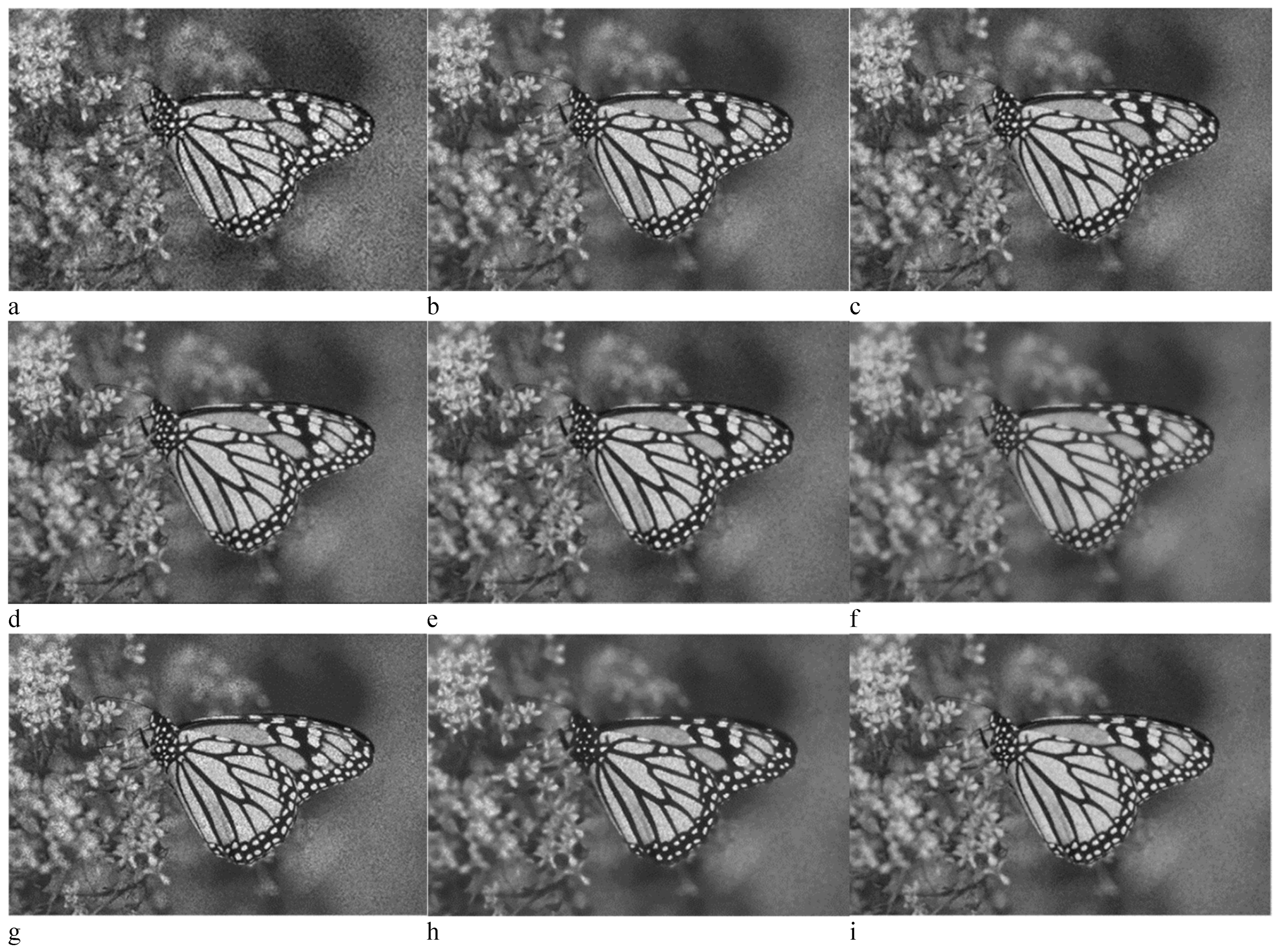 Remotesensing 12 02371 g010a