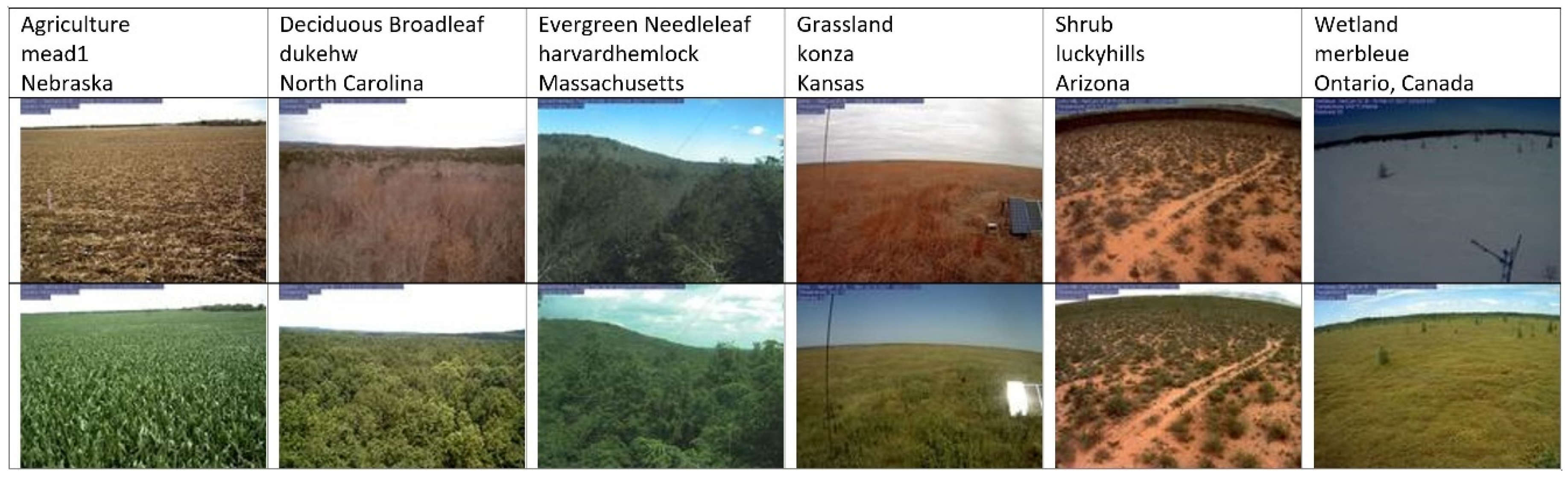 Remotesensing 12 02384 g002 Remotesensing 12 02384 g002