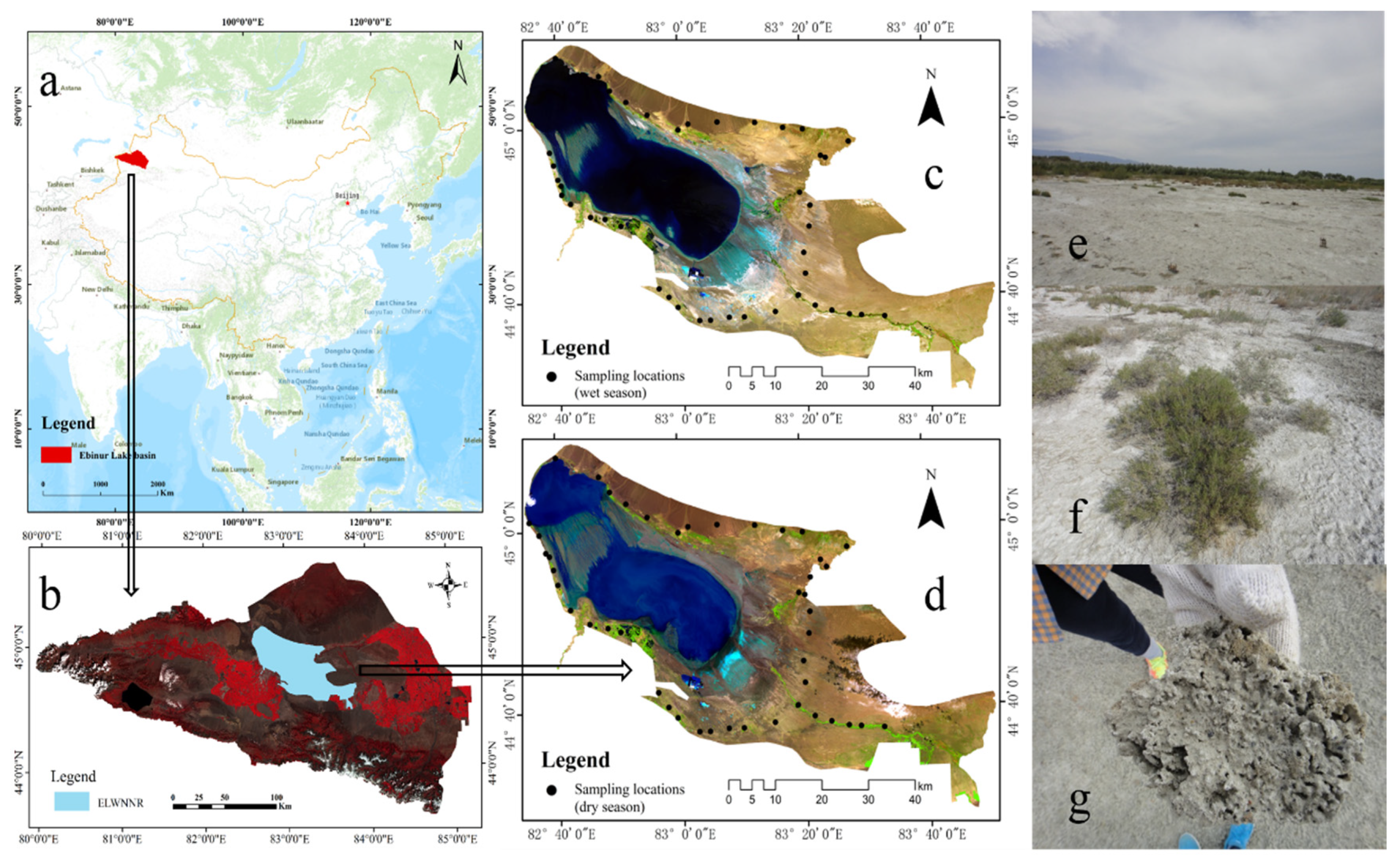 Remotesensing 12 02405 g001 Remotesensing 12 02405 g001