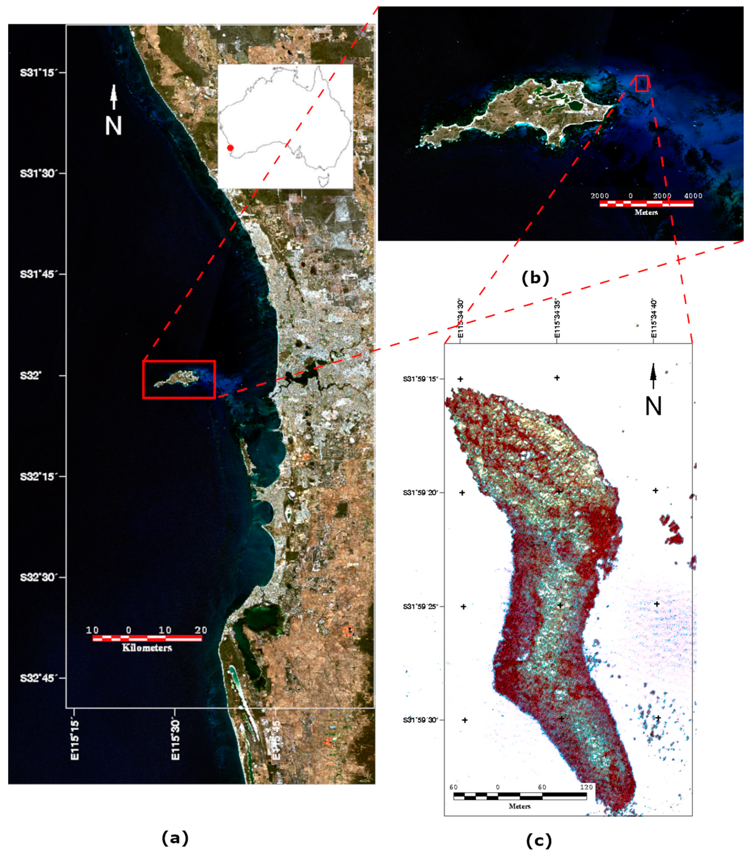 Remotesensing 12 02443 g001