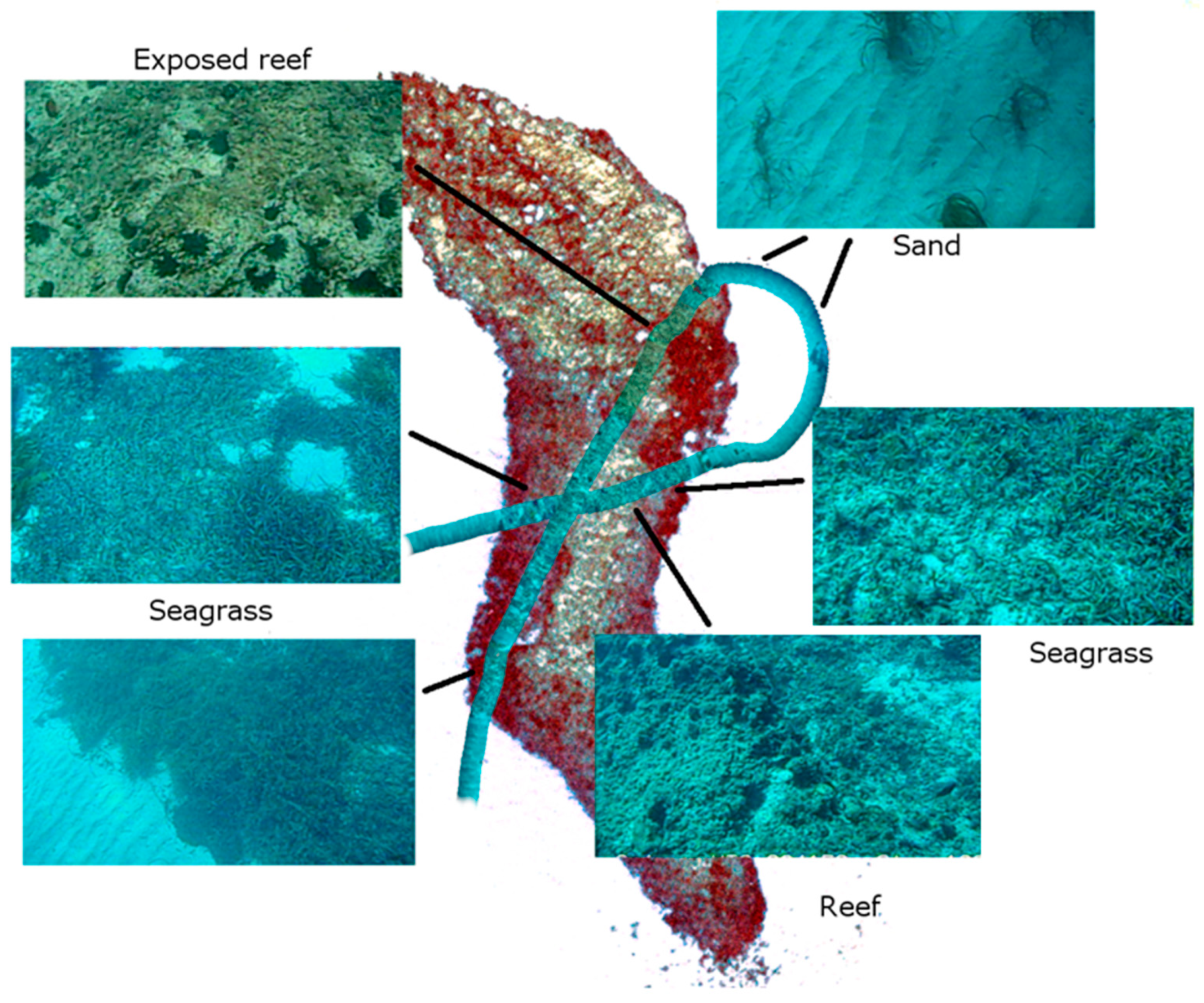 Remotesensing 12 02443 g003