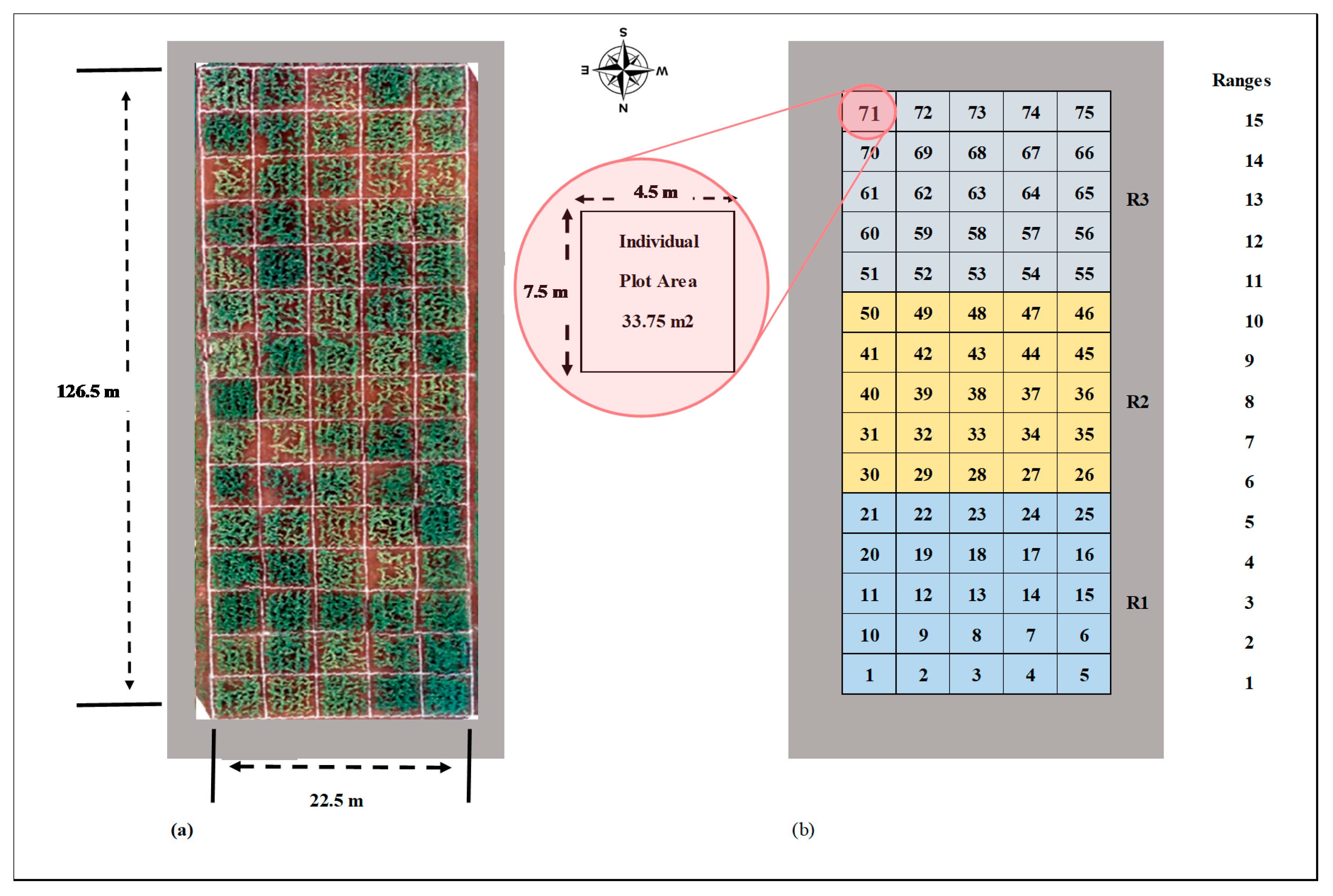 Remotesensing 12 02445 g003 Remotesensing 12 02445 g003