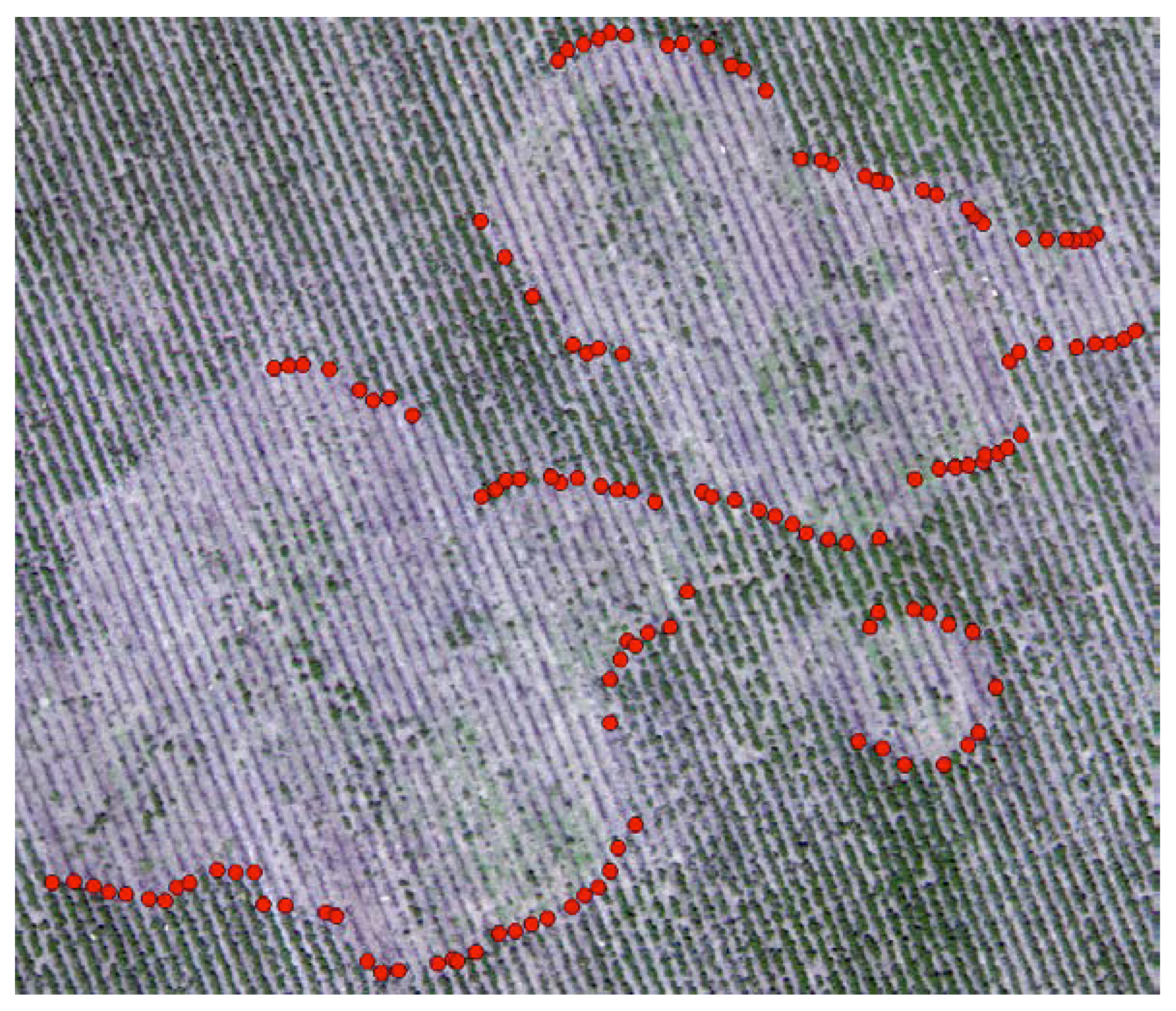 Remotesensing 12 02453 g003