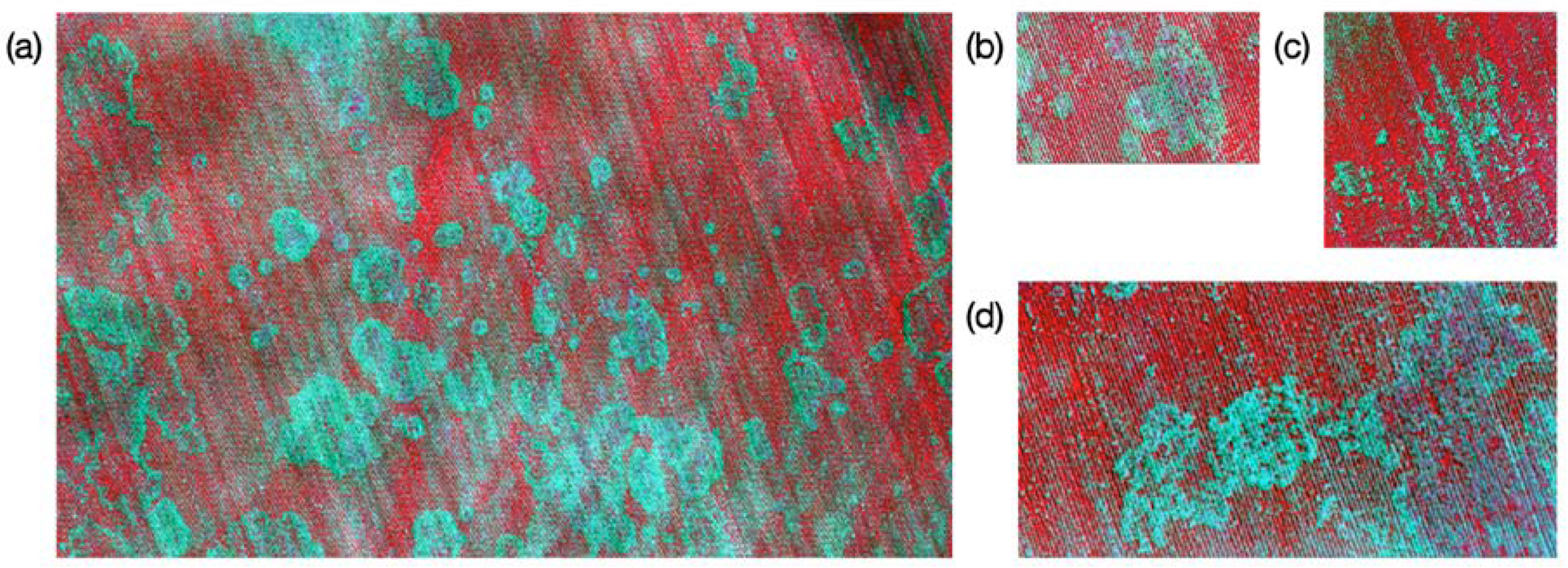 Remotesensing 12 02453 g005