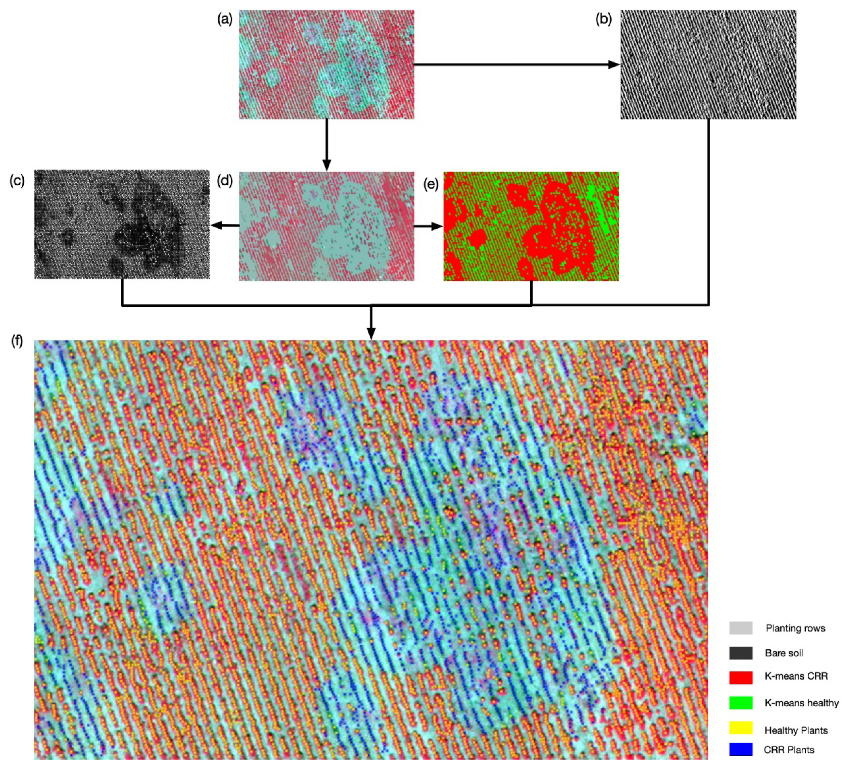 Remotesensing 12 02453 g010