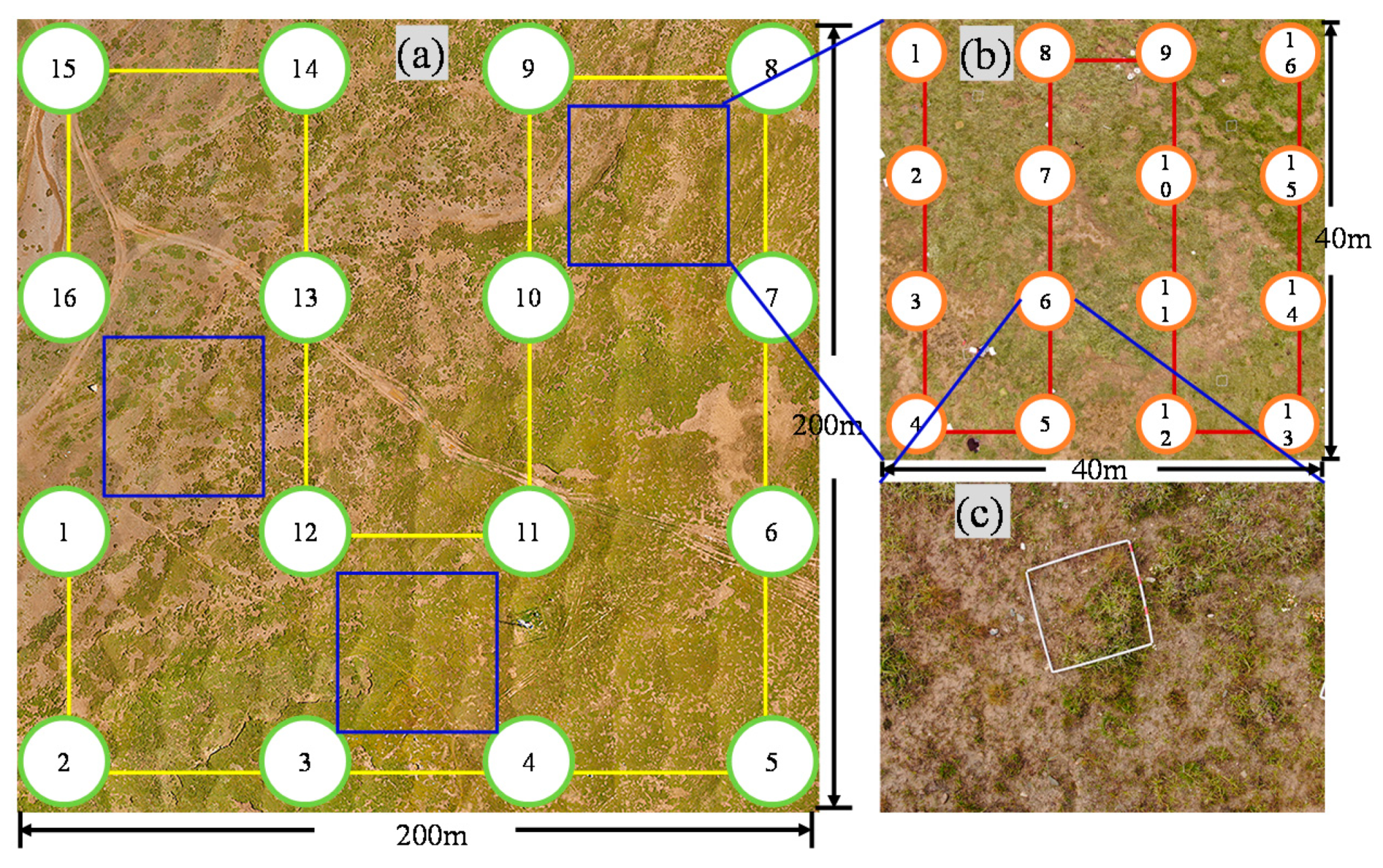 Remotesensing 12 02480 g003 Remotesensing 12 02480 g003