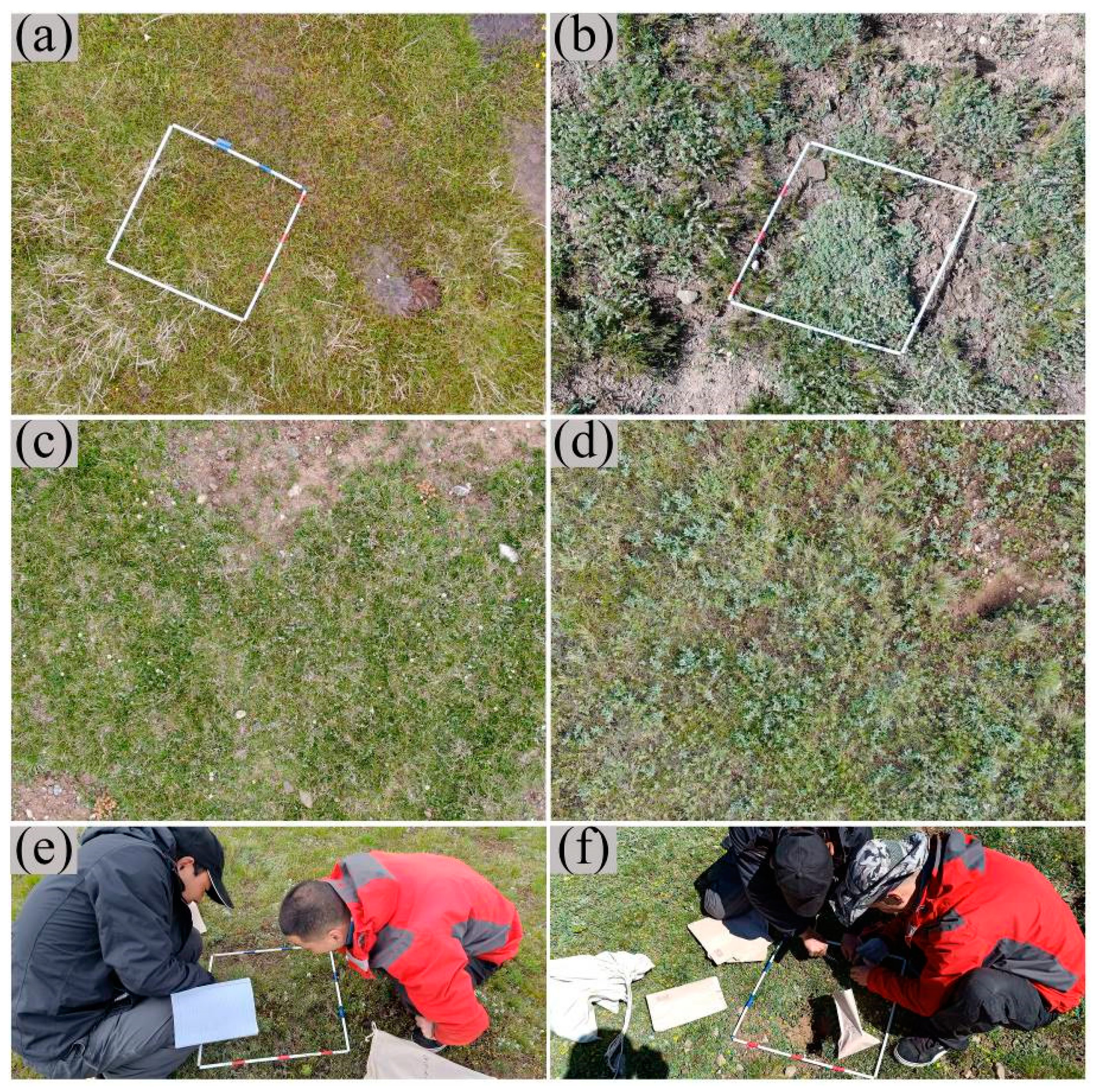 Remotesensing 12 02480 g012 Remotesensing 12 02480 g012