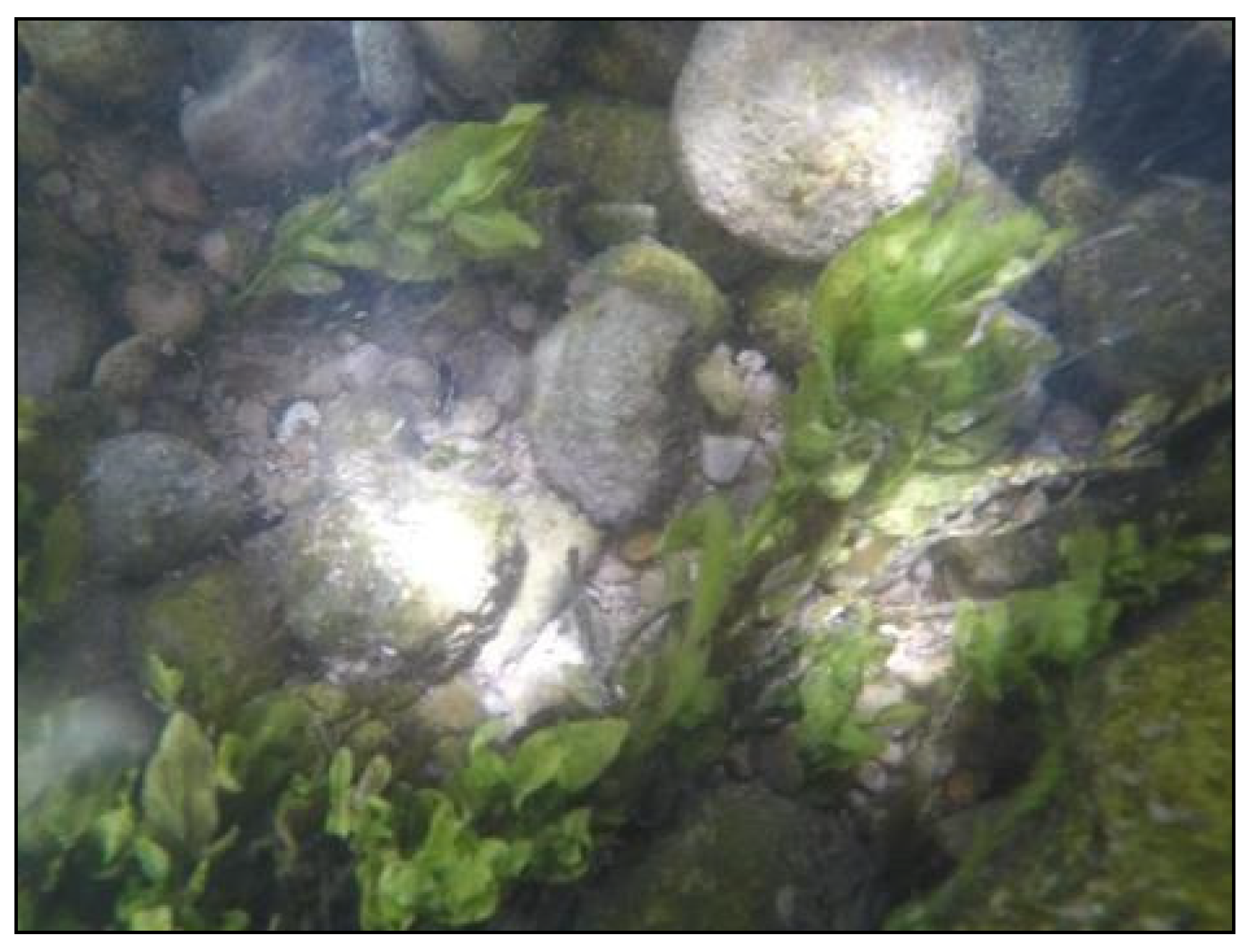 Remotesensing 12 02491 g005