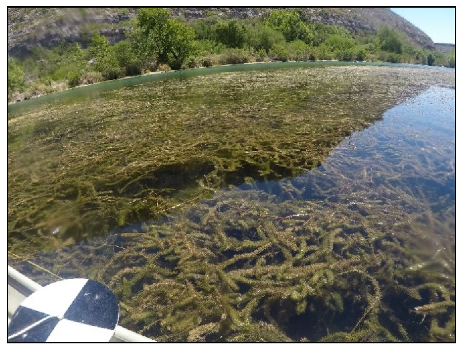 Remotesensing 12 02491 g007