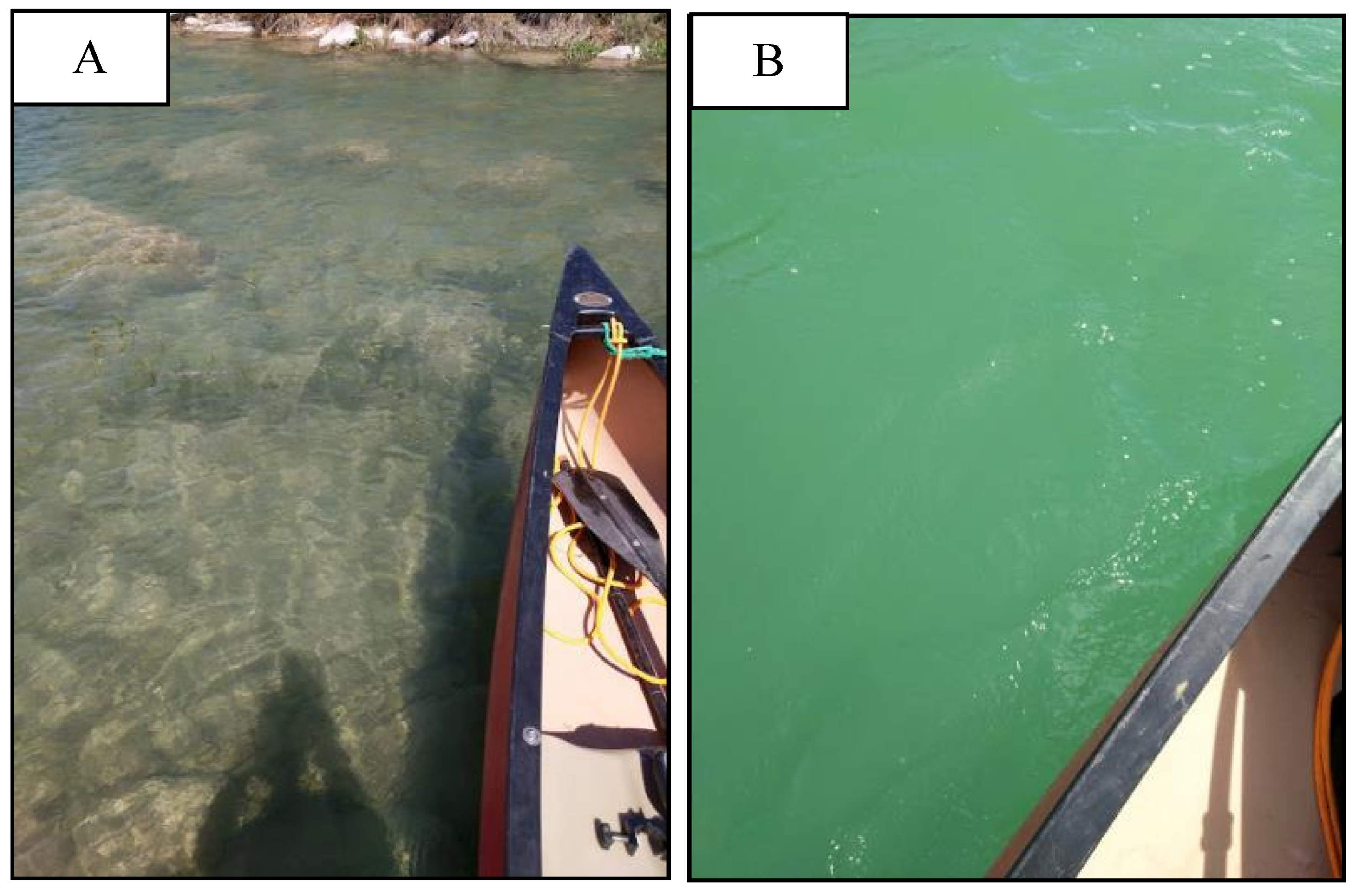 Remotesensing 12 02491 g012