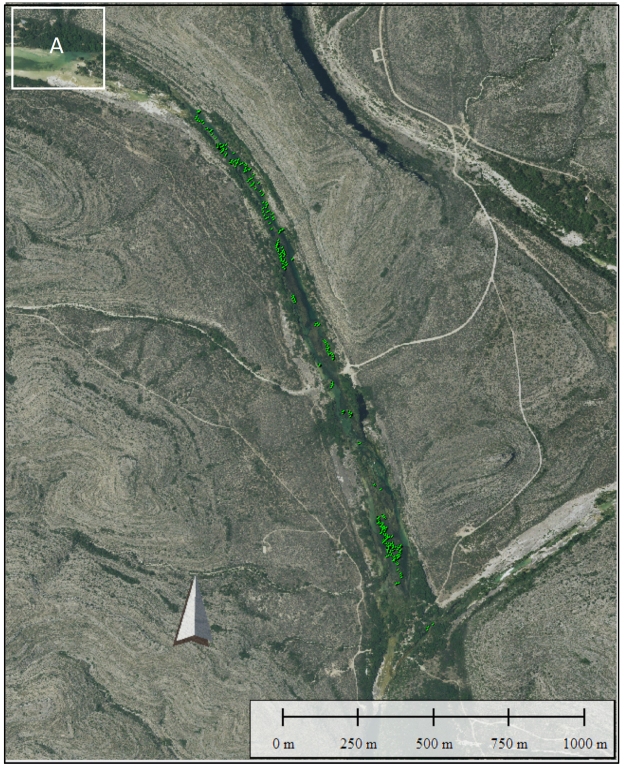 Remotesensing 12 02491 g020a