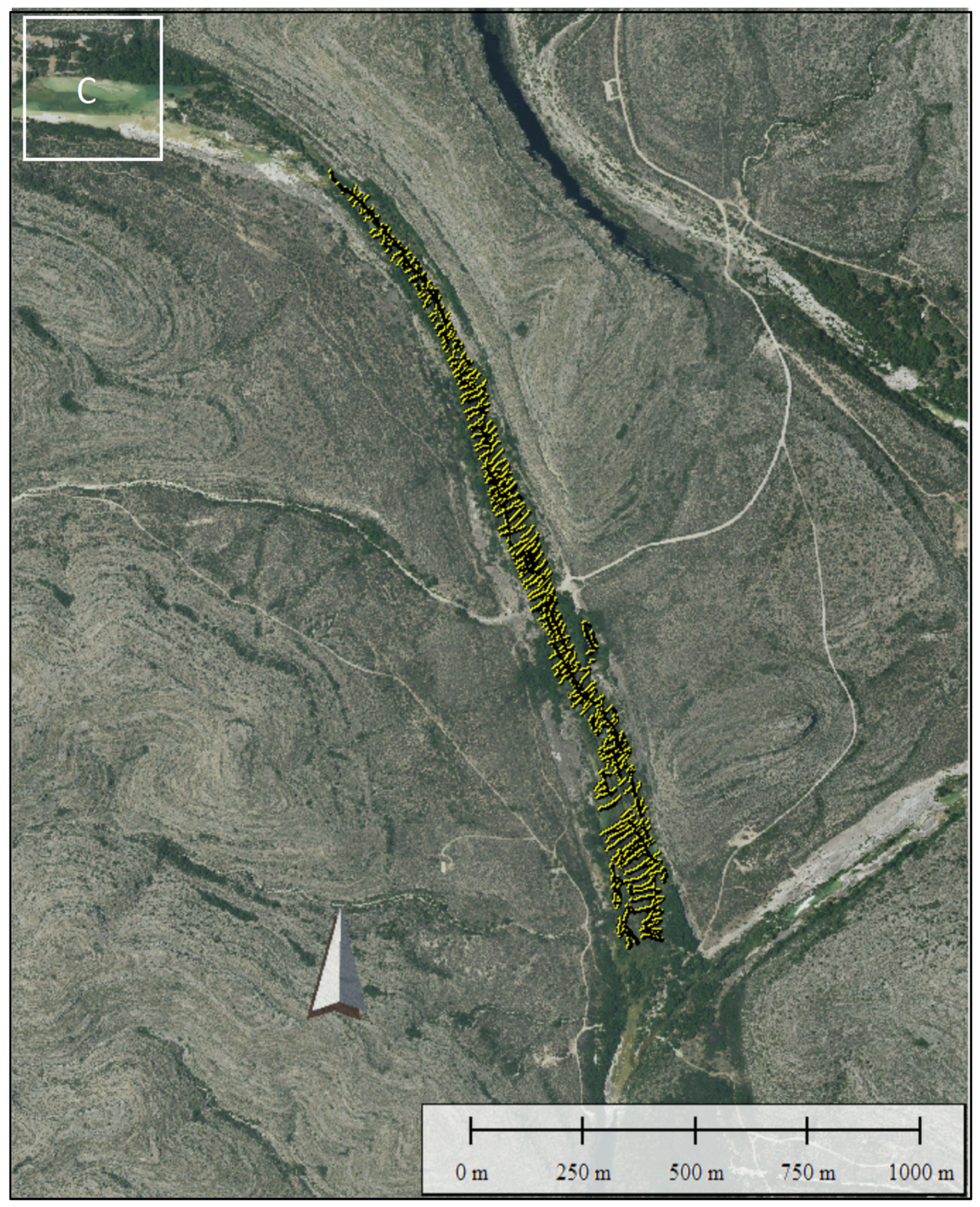 Remotesensing 12 02491 g020c