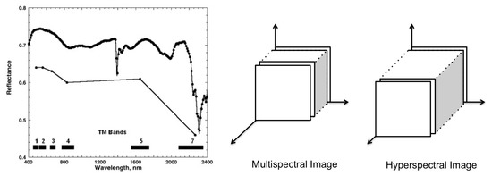 Remotesensing 12 02495 g003 550