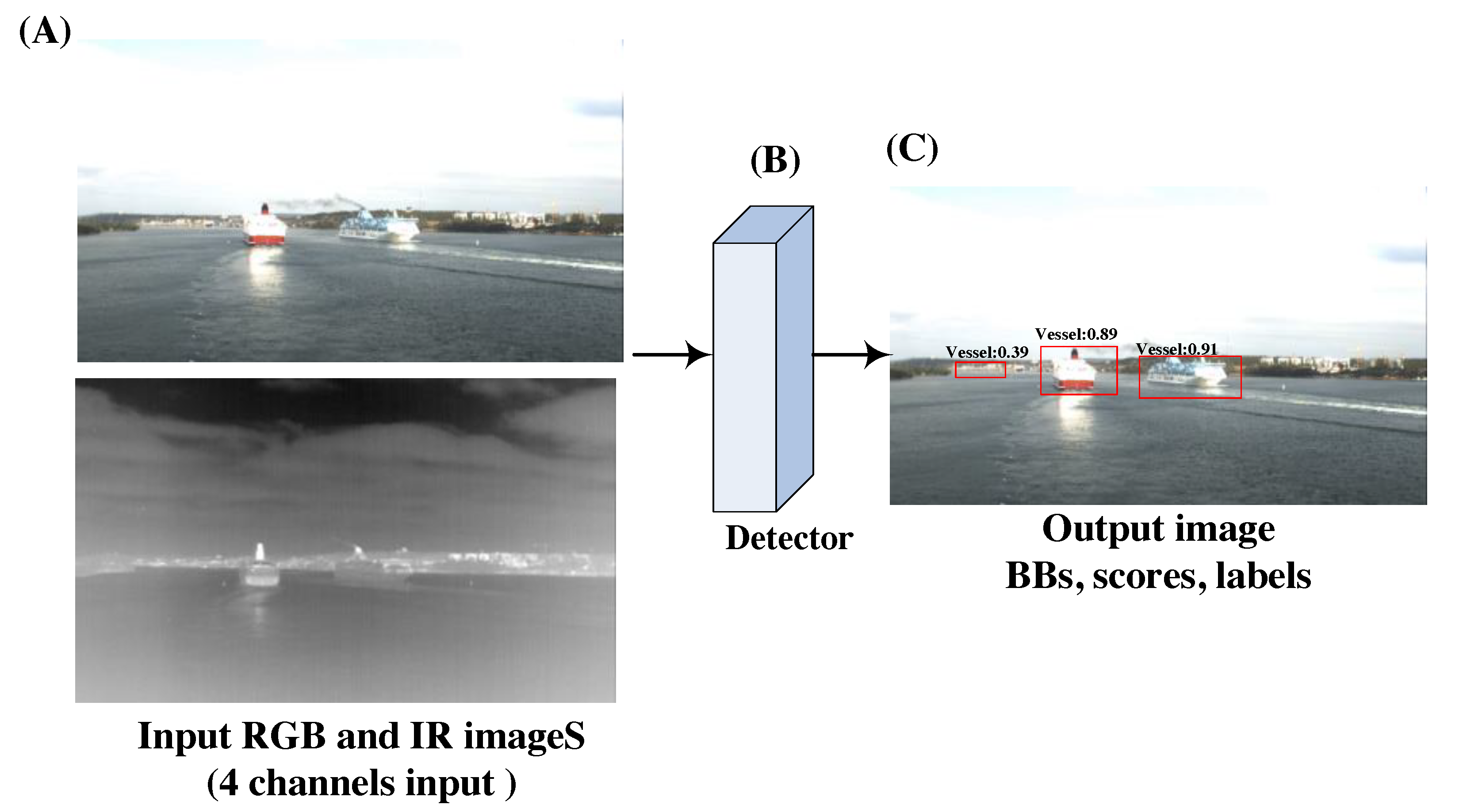 Remotesensing 12 02509 g001