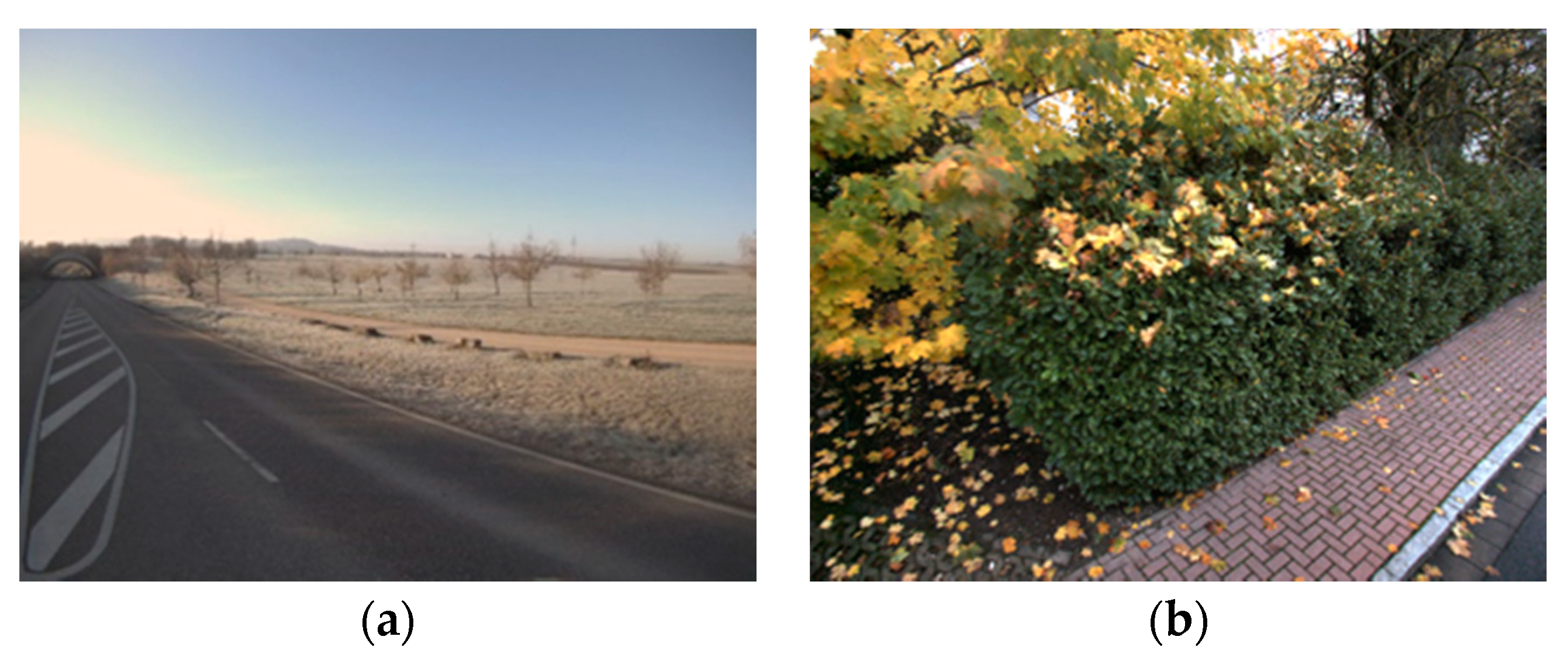 Remotesensing 12 02530 g005