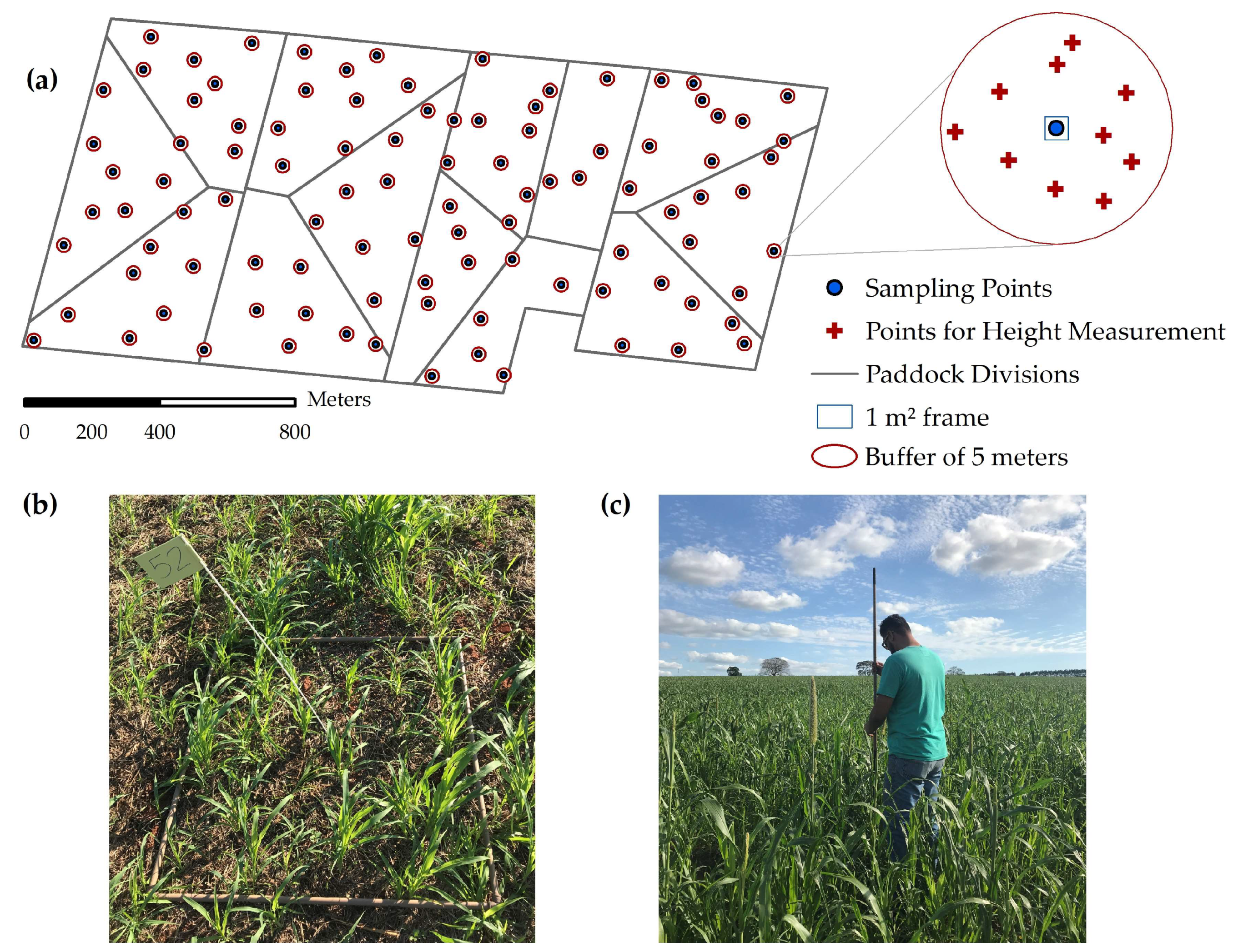 Remotesensing 12 02534 g003