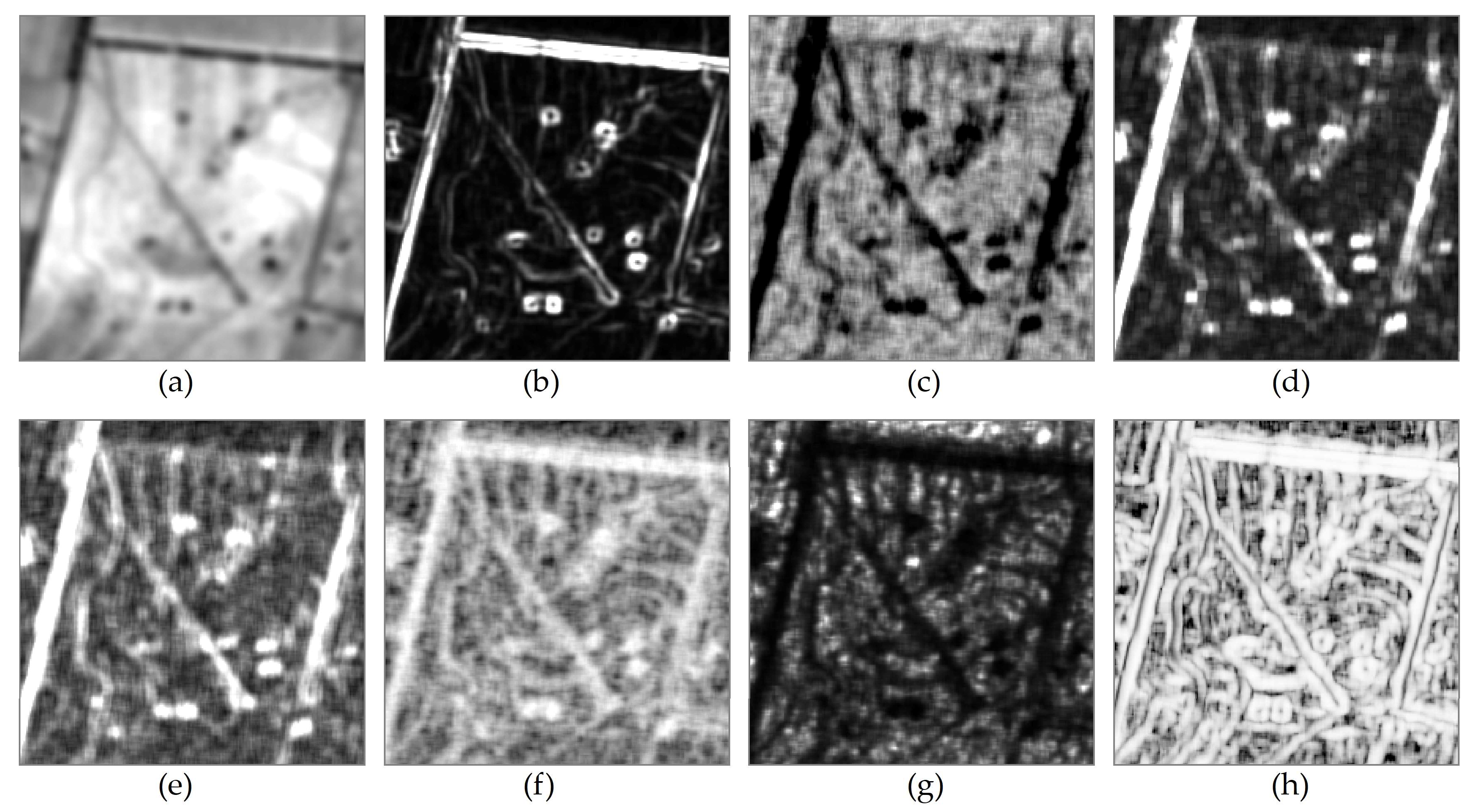 Remotesensing 12 02534 g004