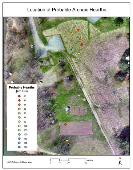 49+ Cane River Conservation Park Background