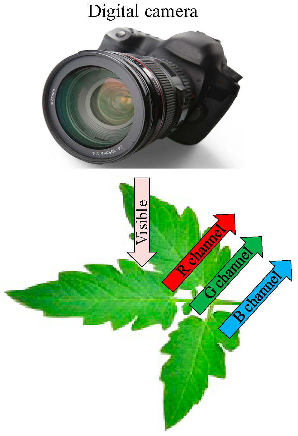 Remotesensing 12 02578 g004 Remotesensing 12 02578 g004