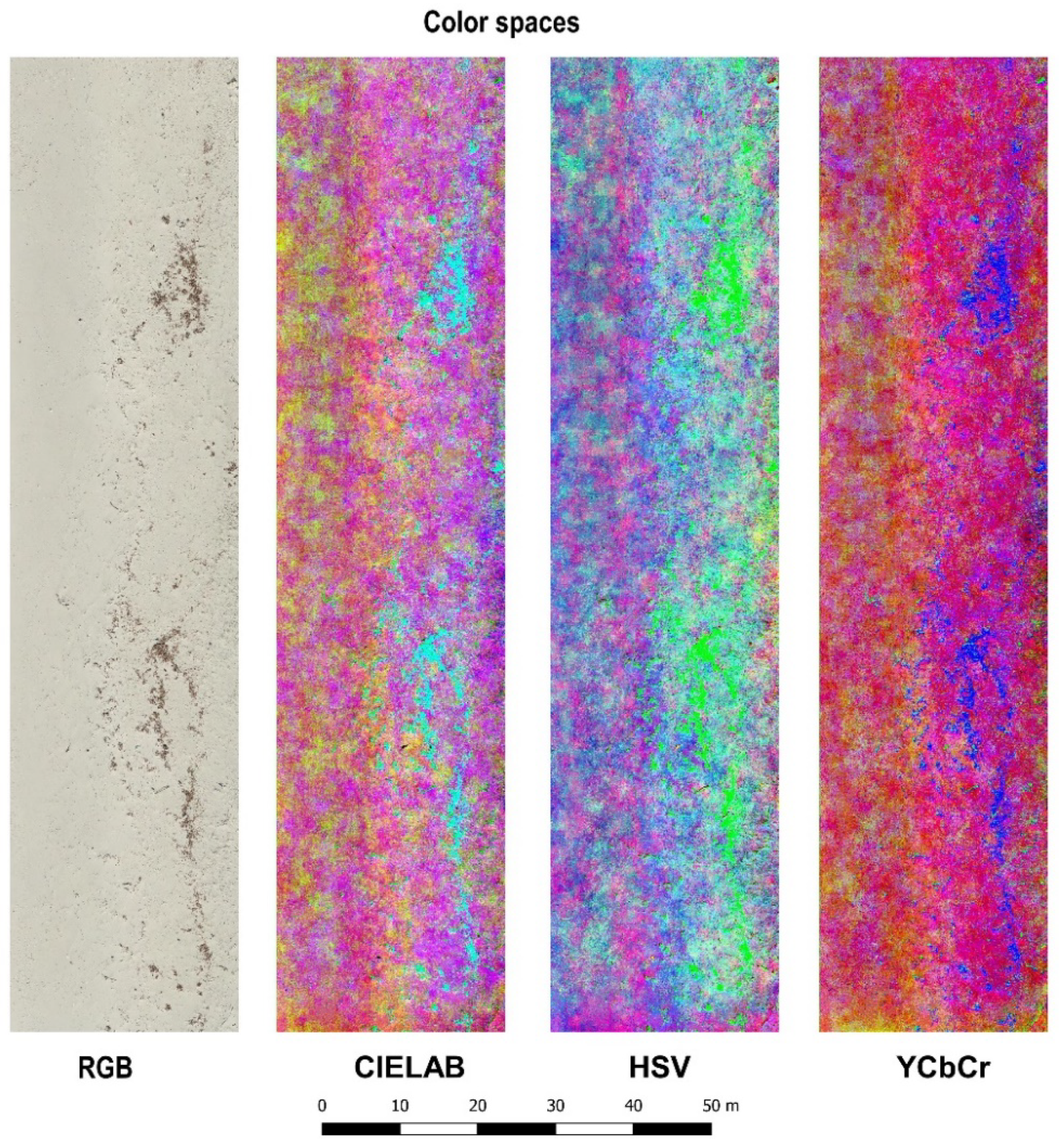 Remotesensing 12 02599 g005 Remotesensing 12 02599 g005