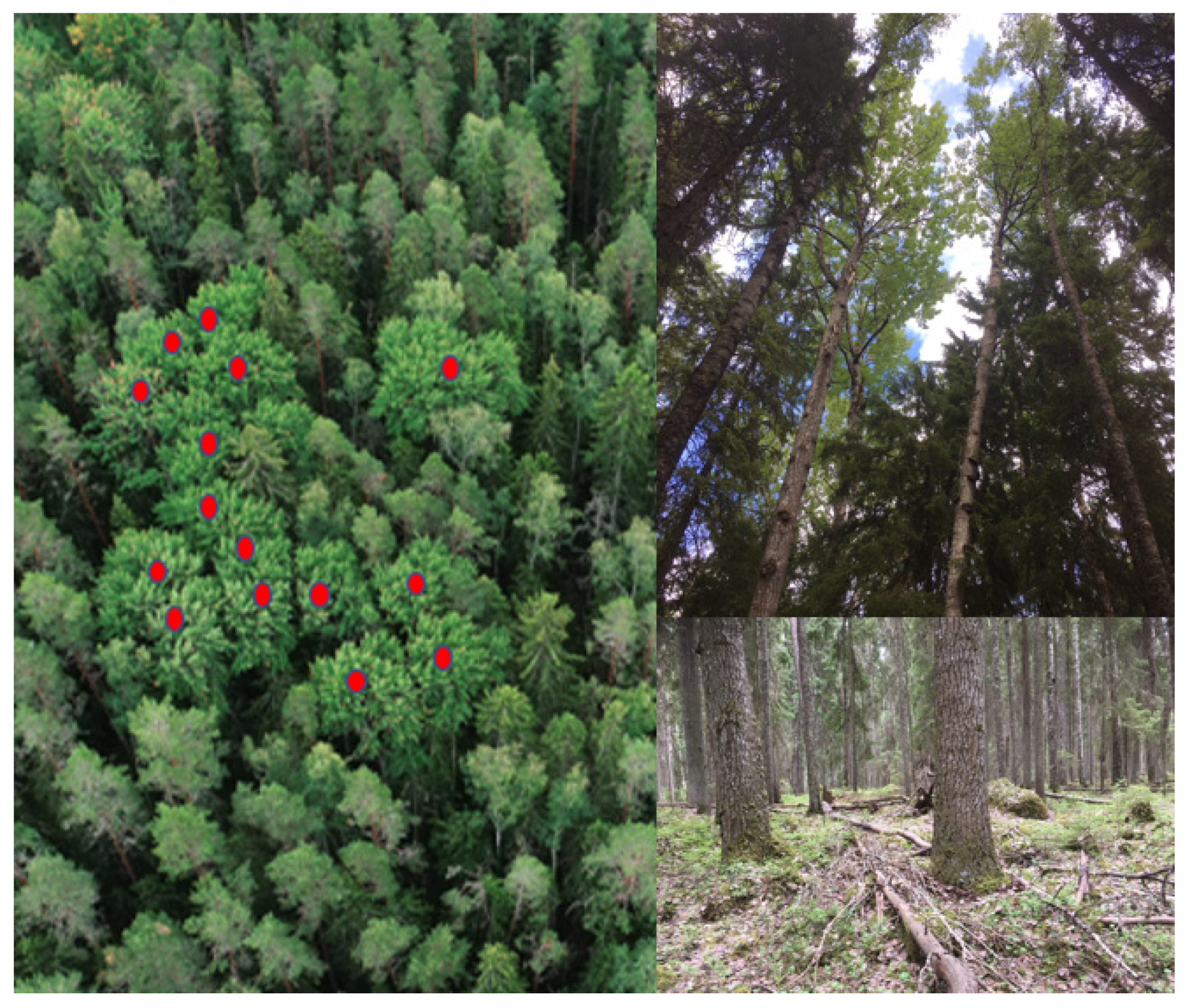 Remotesensing 12 02610 g002