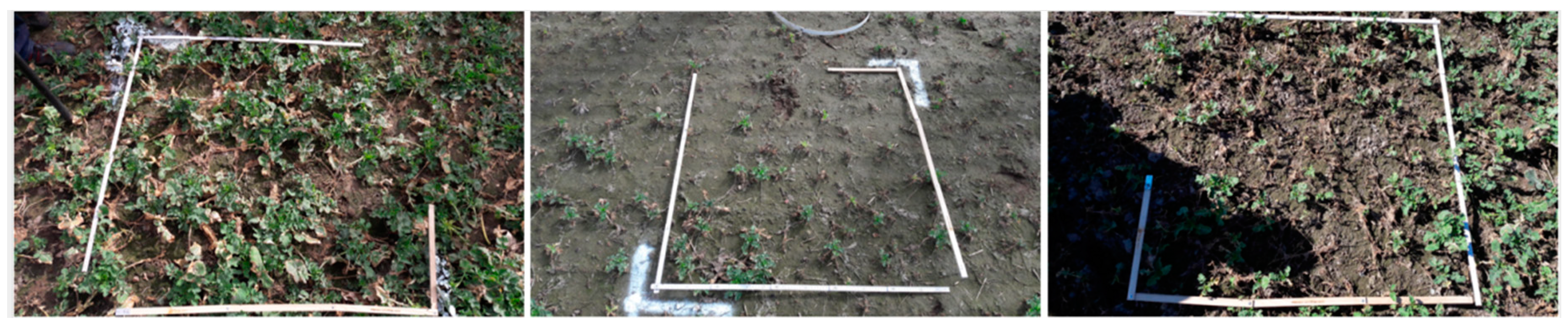 Remotesensing 12 02618 g003