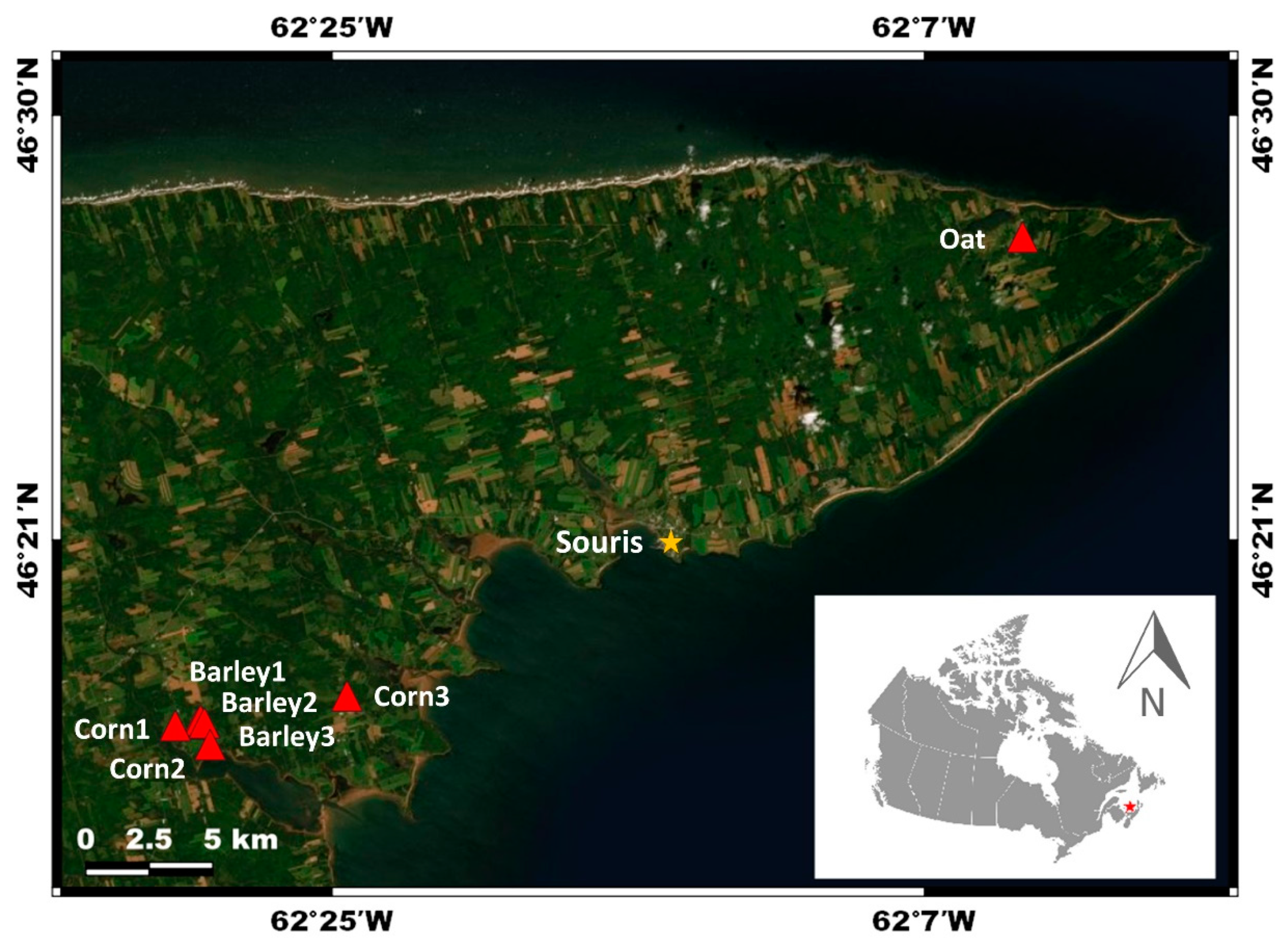 Remotesensing 12 02640 g001