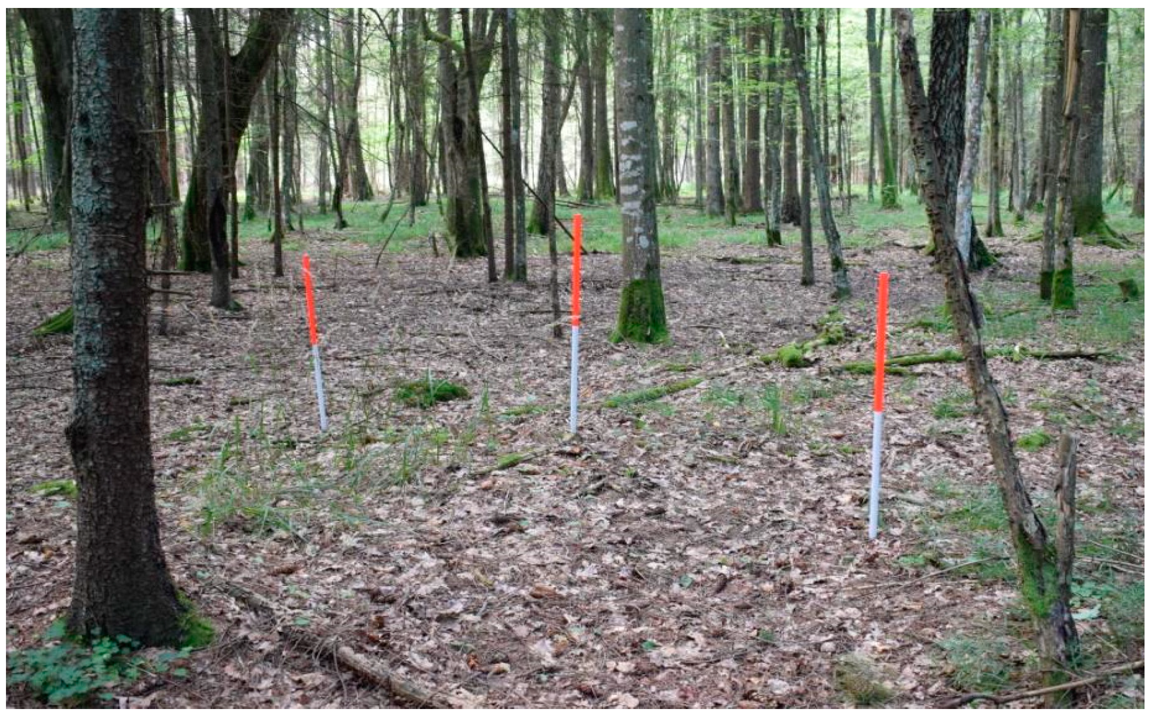 Remotesensing 12 02657 g006 Remotesensing 12 02657 g006