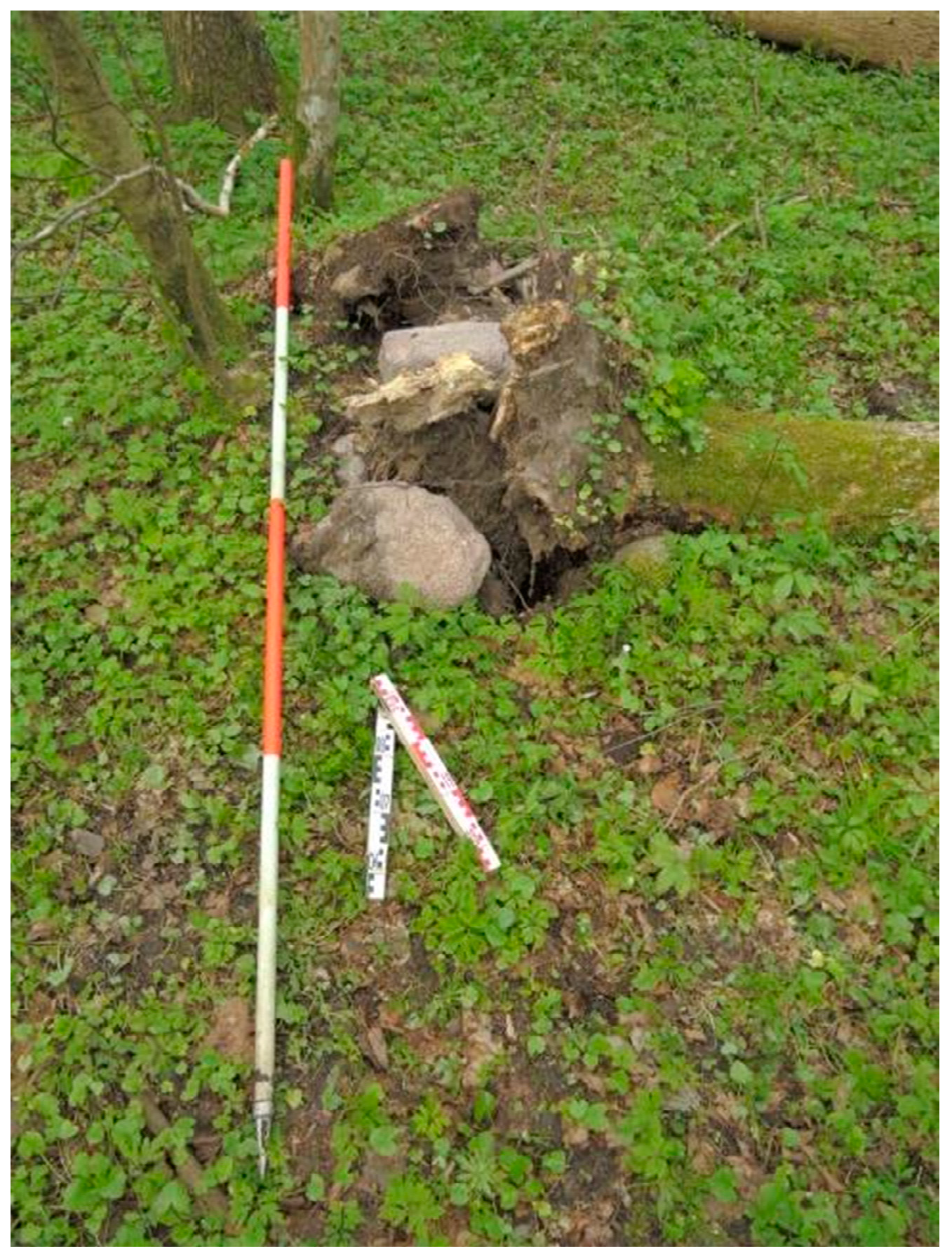 Remotesensing 12 02657 g008 Remotesensing 12 02657 g008