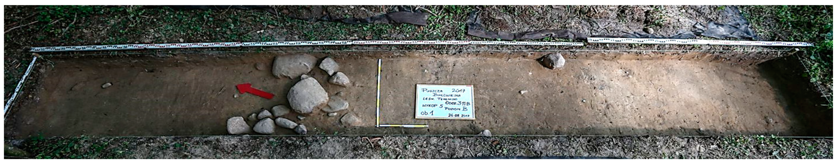 Remotesensing 12 02657 g009 Remotesensing 12 02657 g009