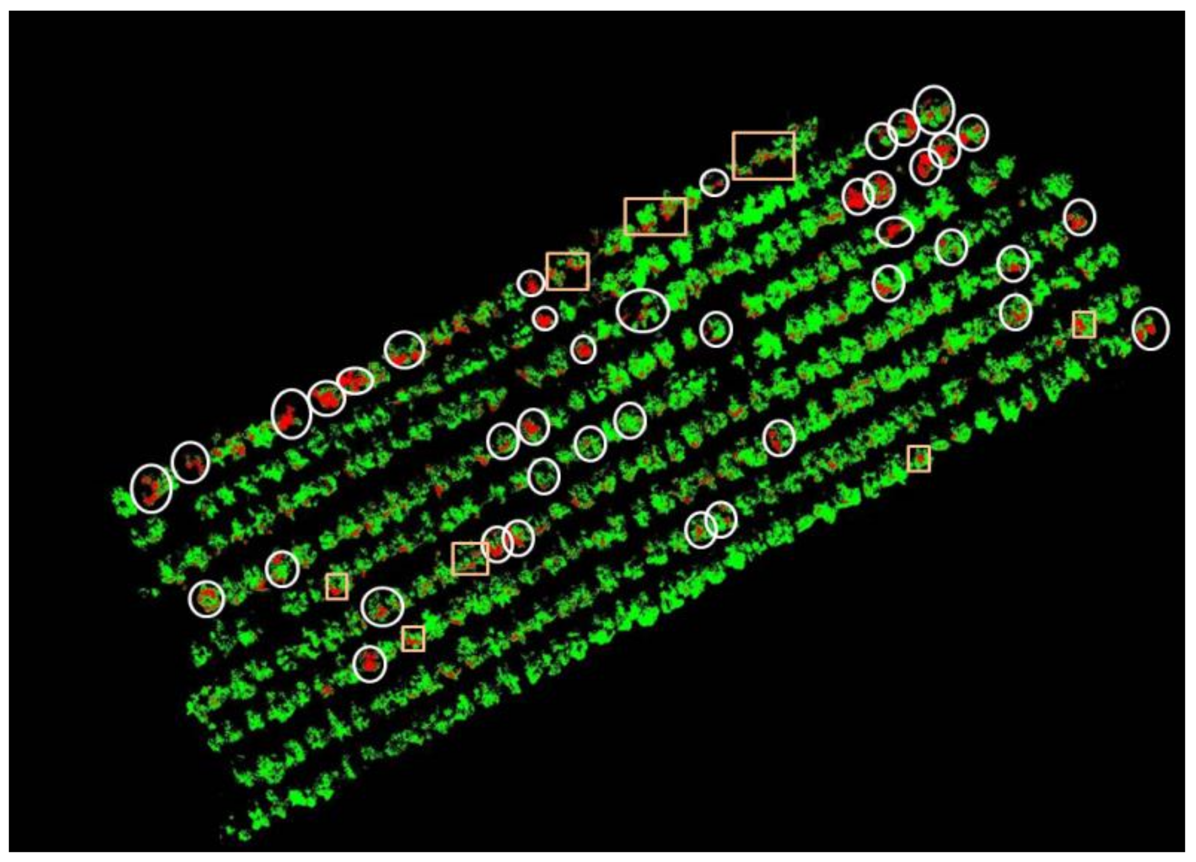 Remotesensing 12 02678 g014