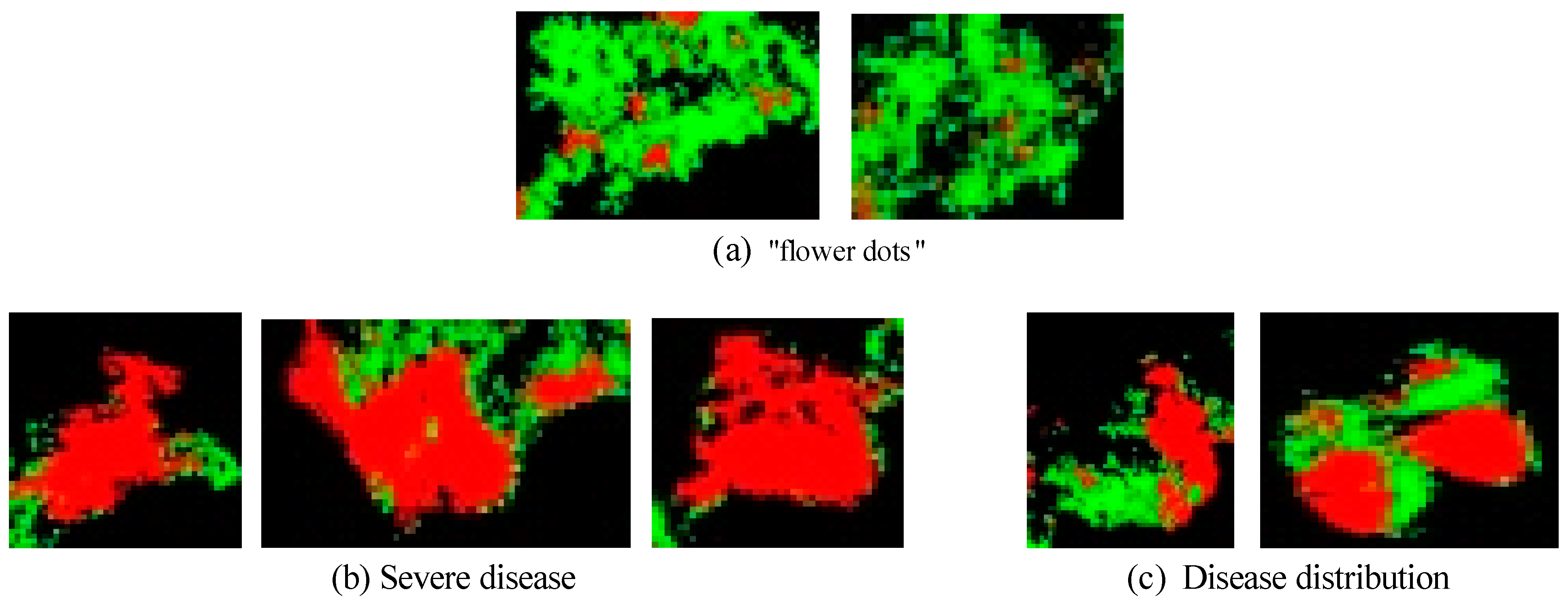 Remotesensing 12 02678 g015